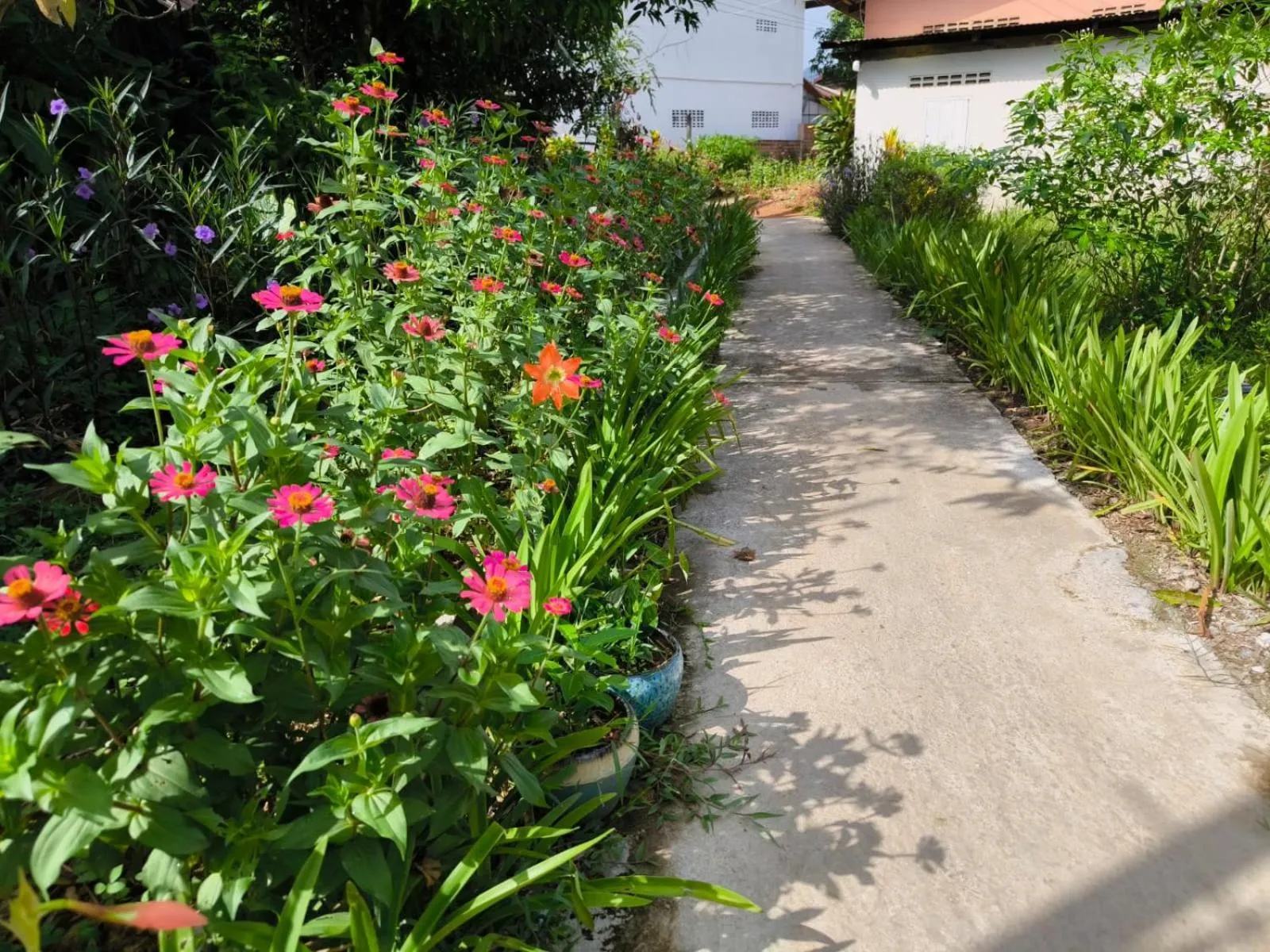 Vang Vieng Champa Resort