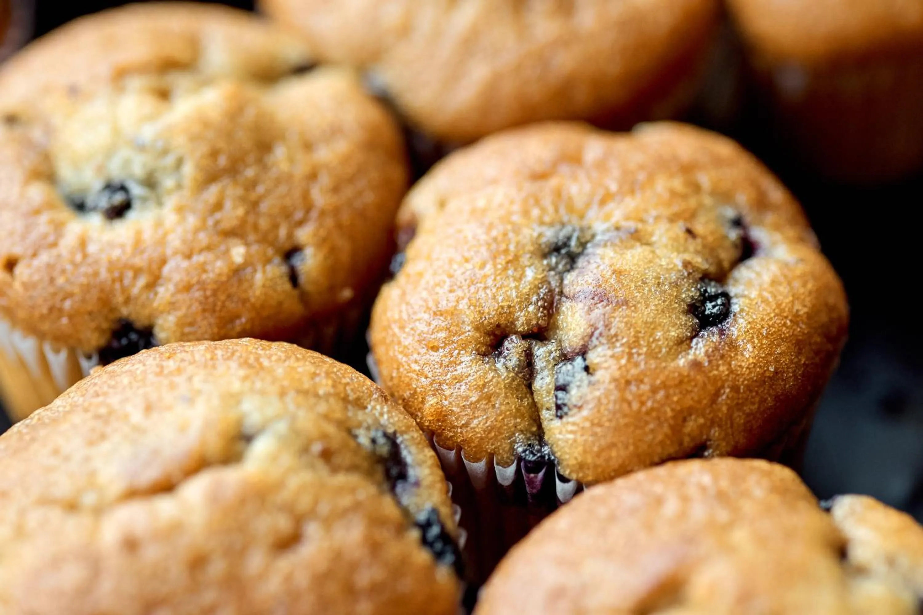 Meeting/conference room in Holiday Inn Newcastle Gosforth Park by IHG