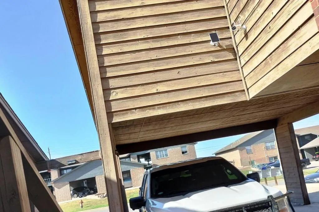 Golden Sunflower's Apt D