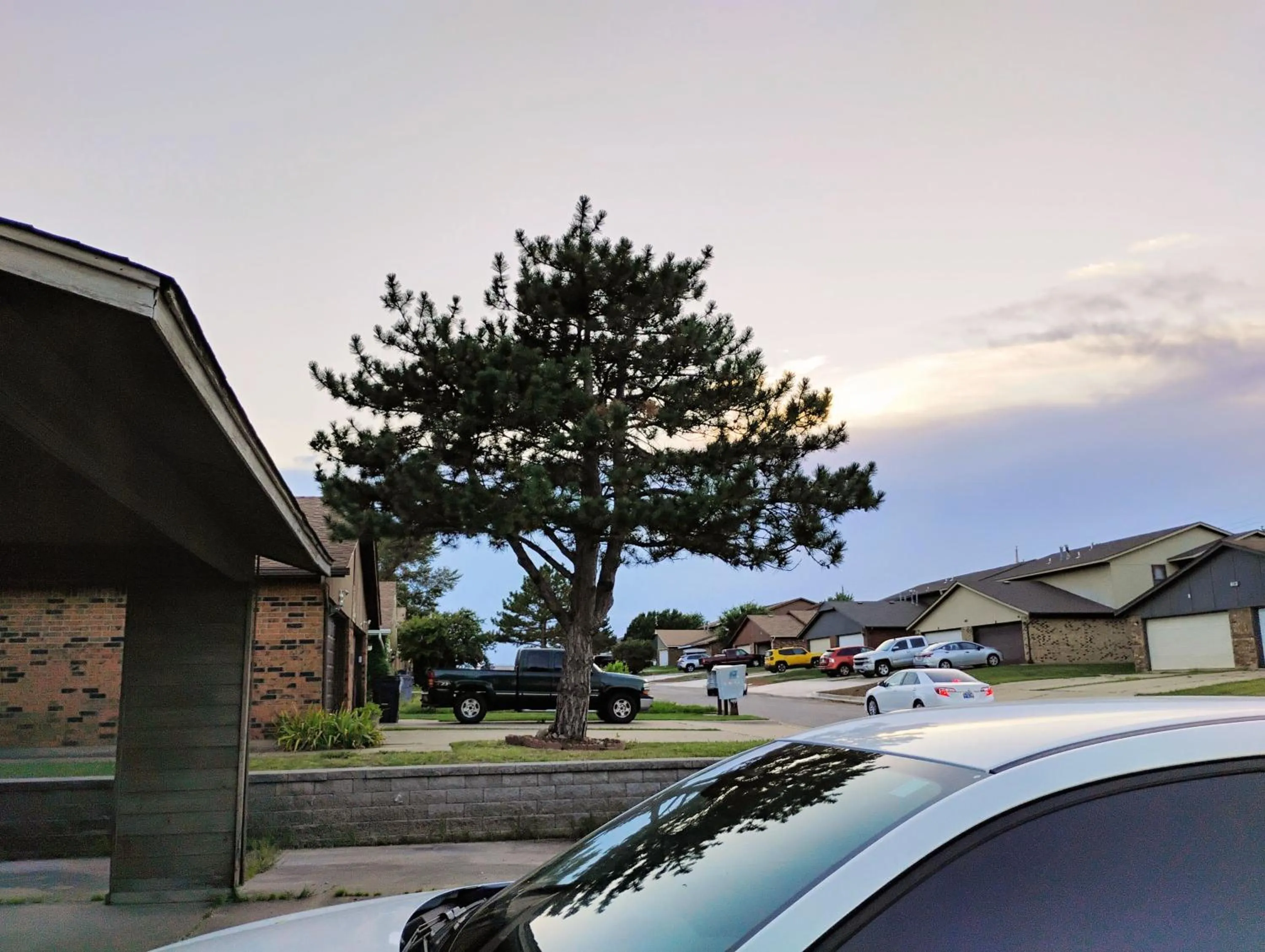 Golden Sunflower's Apt D