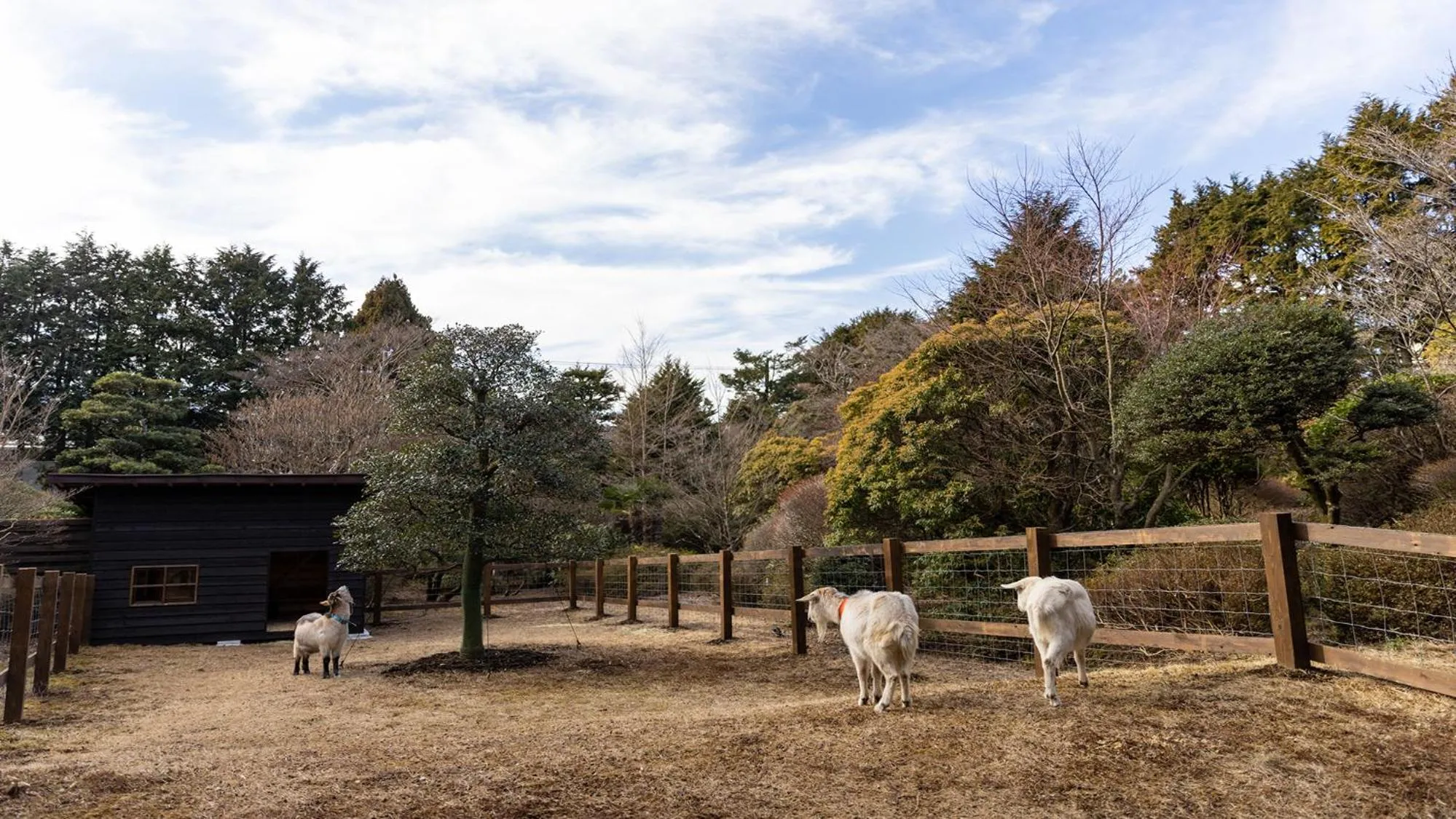 Garden in Sengokubara COCON