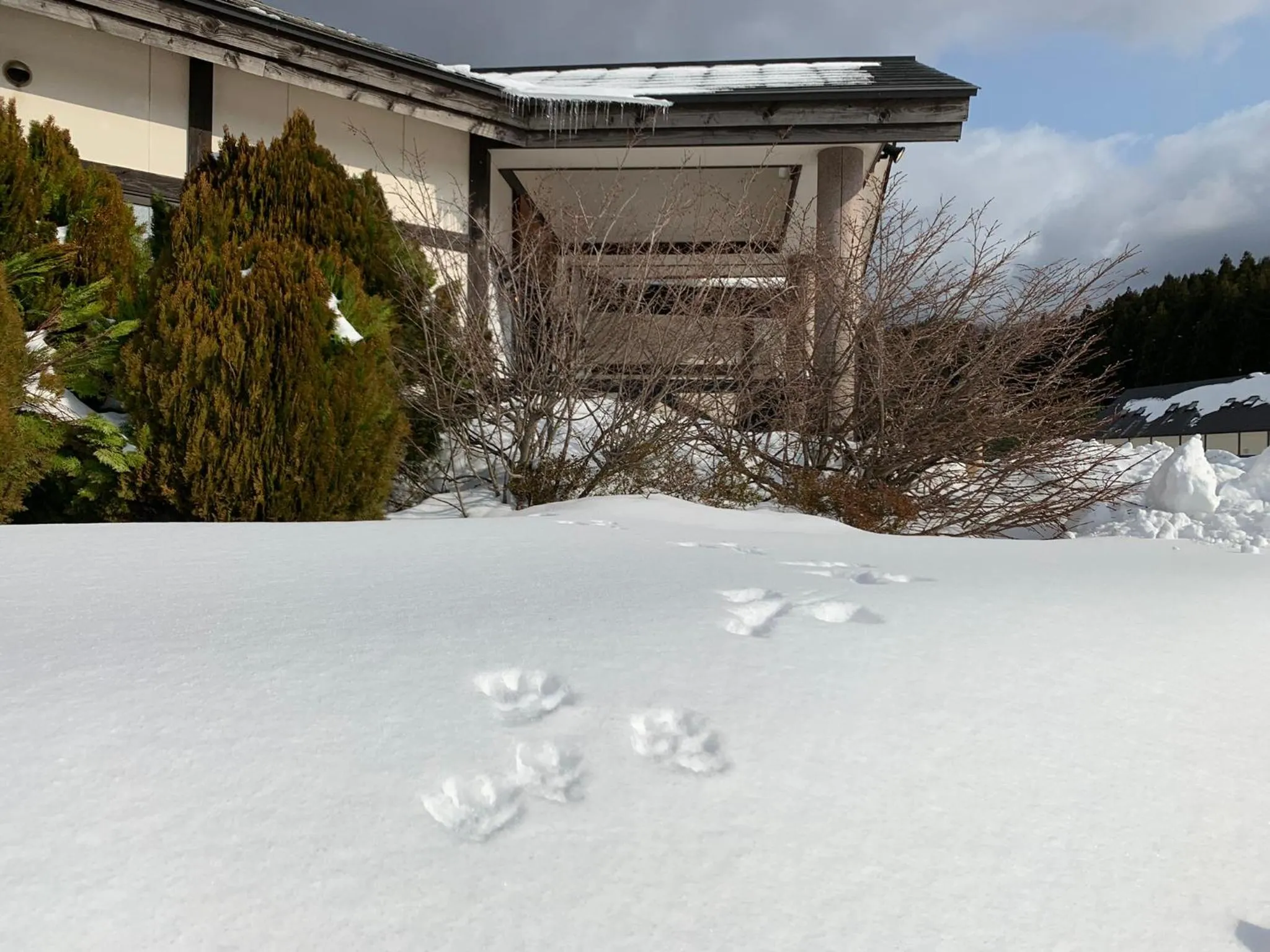 Property building in Awone Shirakami Juniko