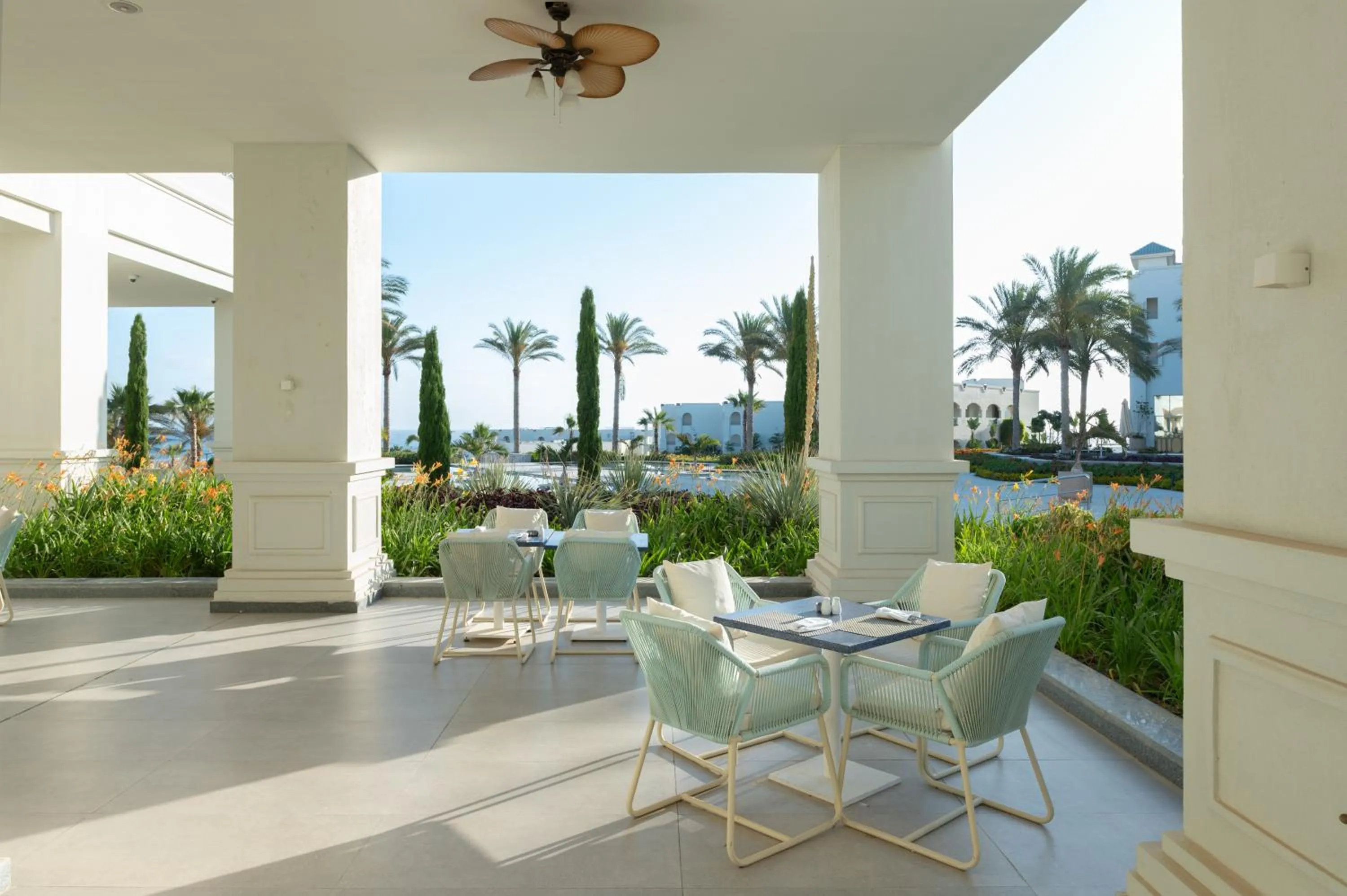 Restaurant/places to eat in Cleopatra Sidi Heneish