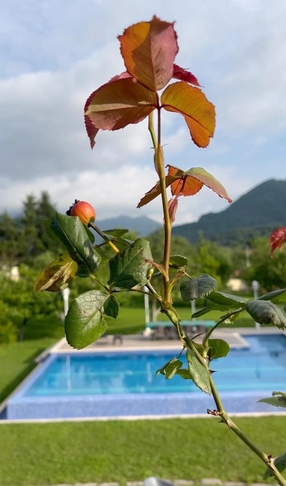 Spring in Beyaz Köşk Geyve