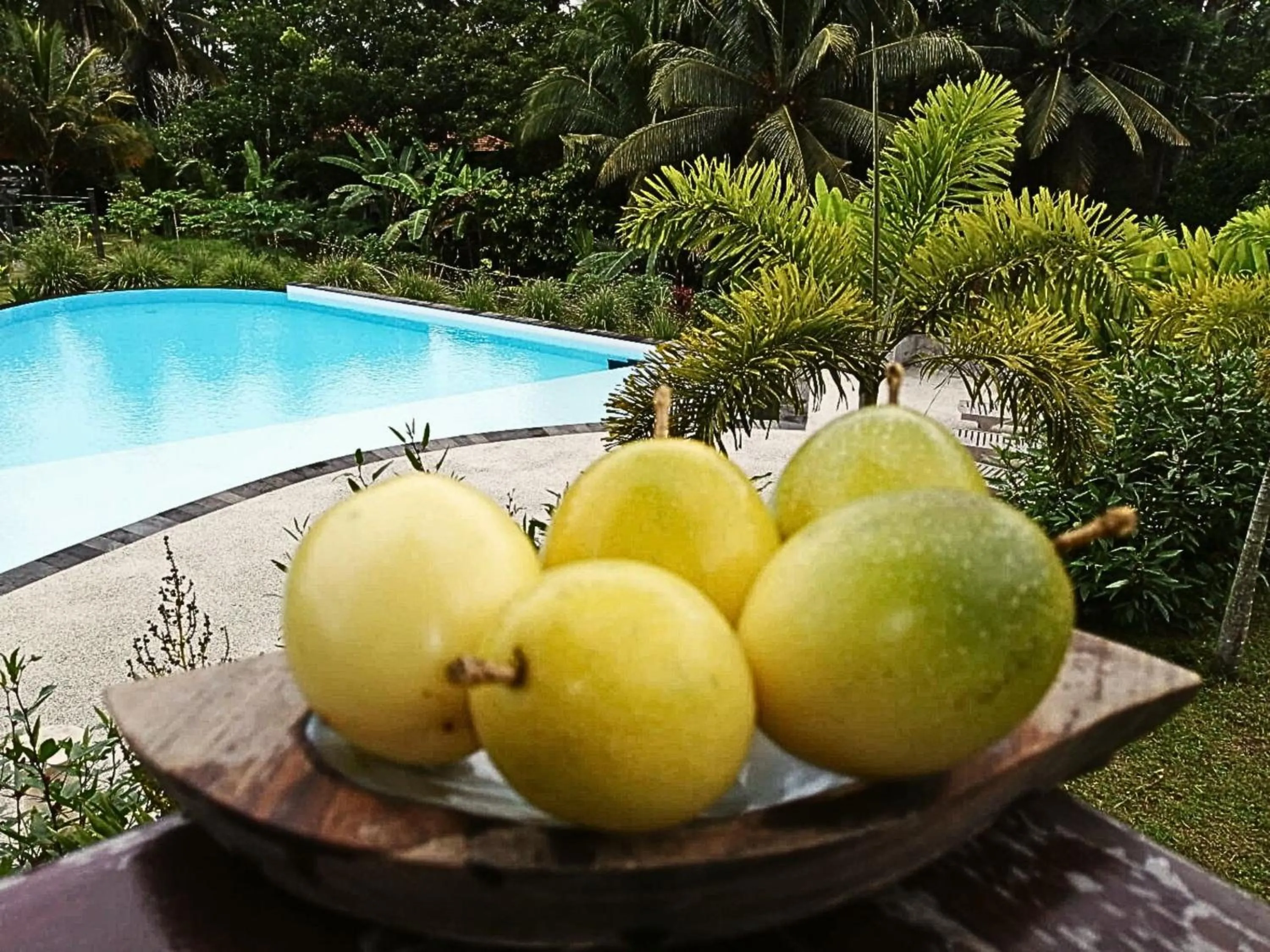 Dining area in Antagana Retreat
