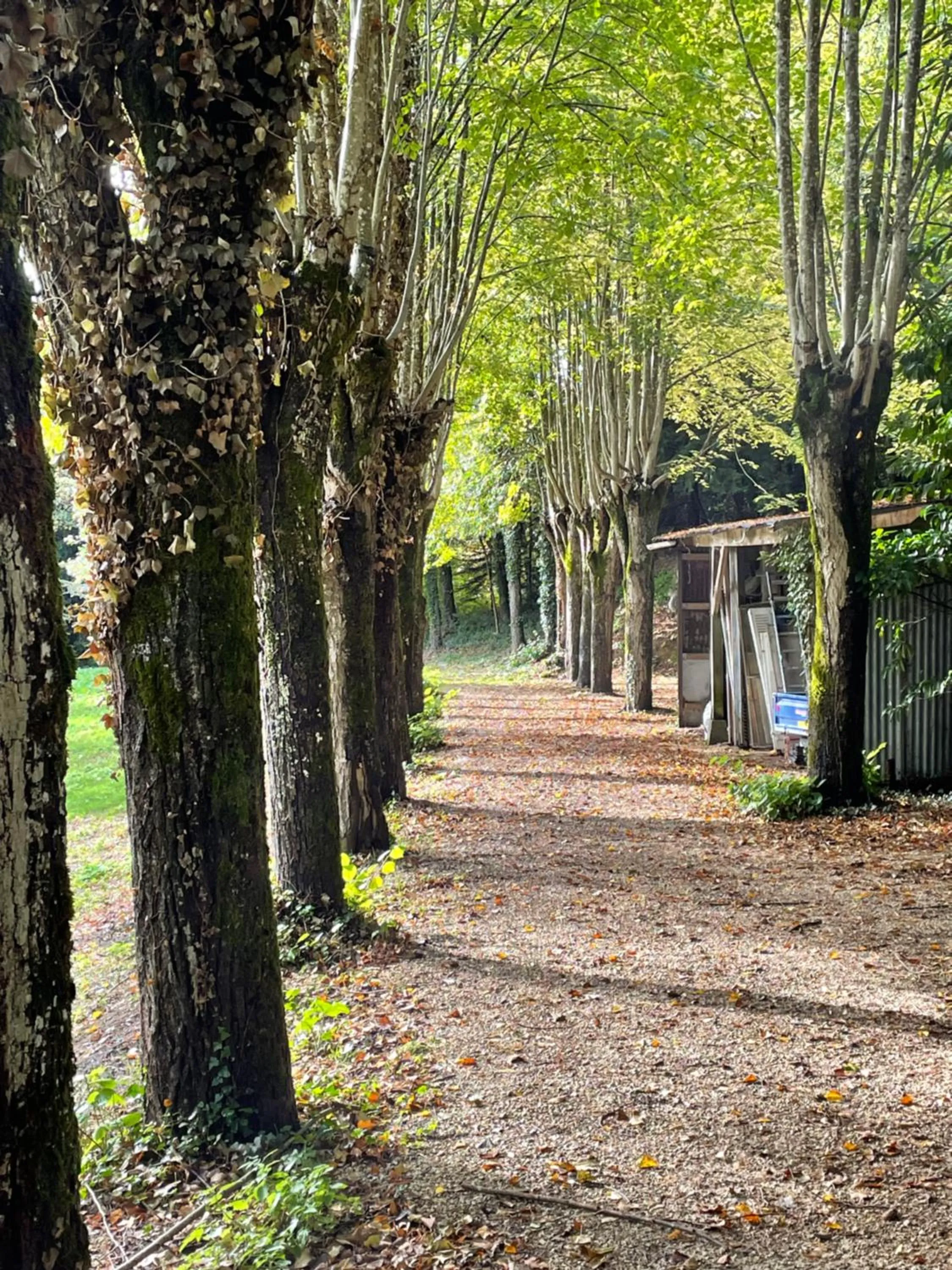 Spring in Château de la Huberdière