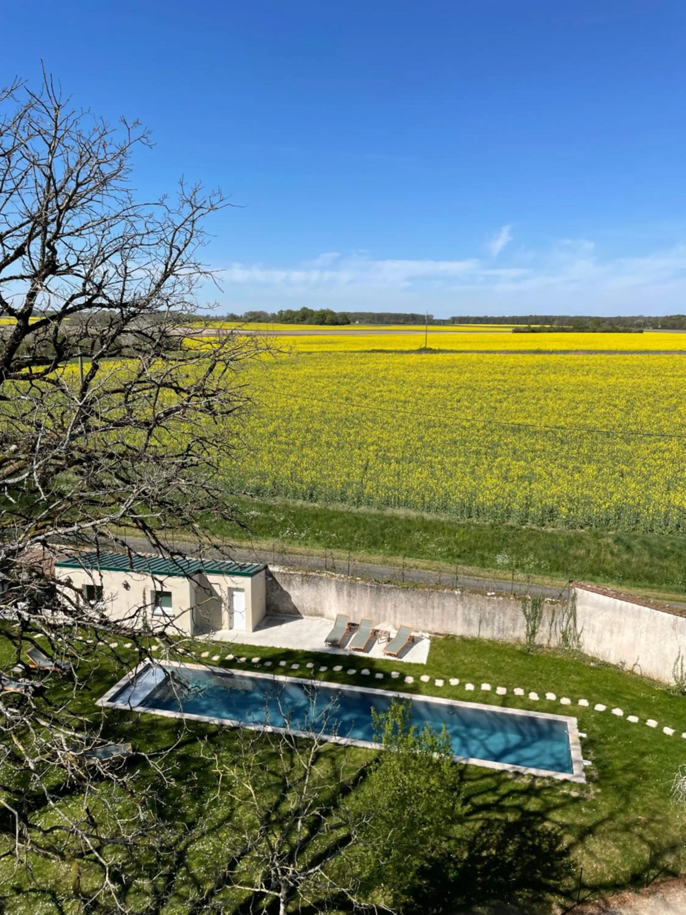 Swimming pool in Château de la Huberdière