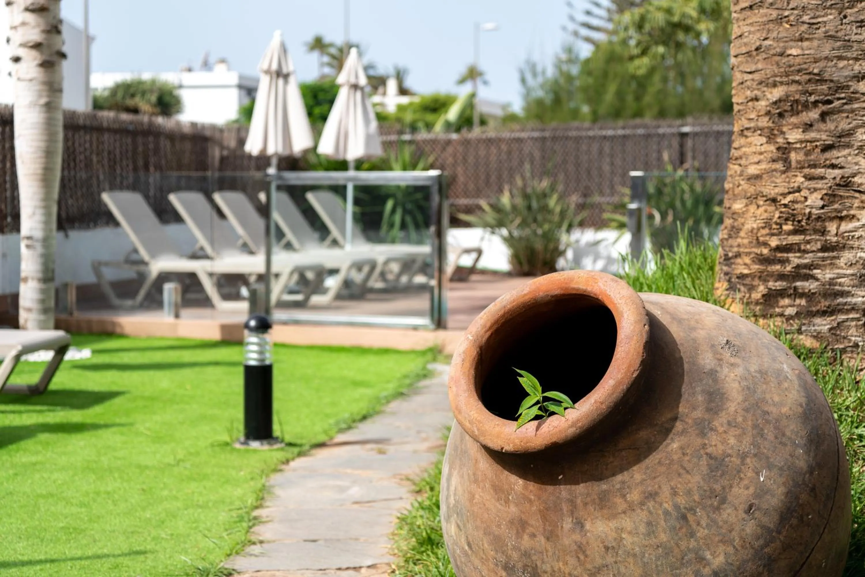 Area and facilities in Alsol El Chaparral