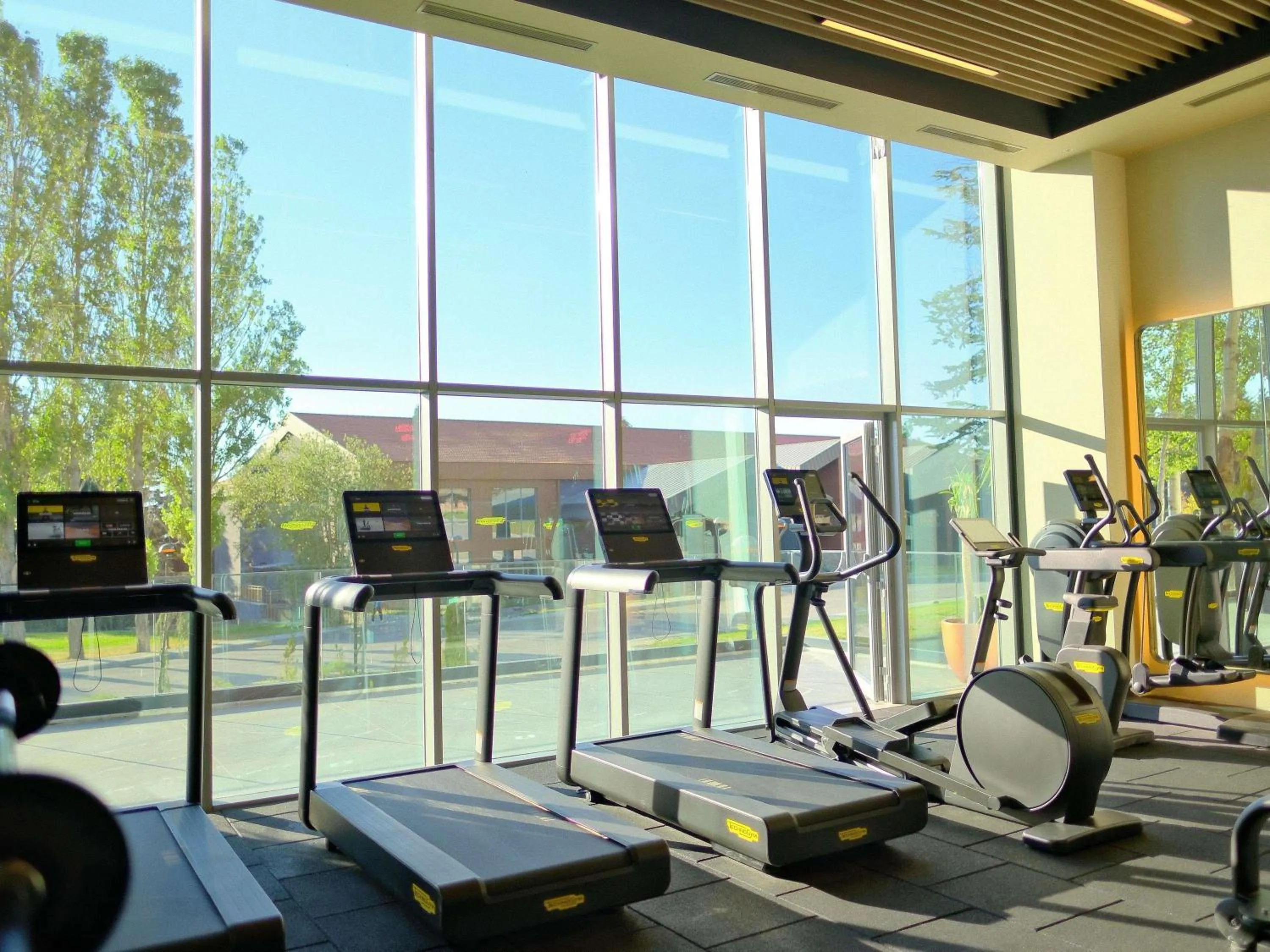 Fitness centre/facilities in Swissotel Uludag Bursa