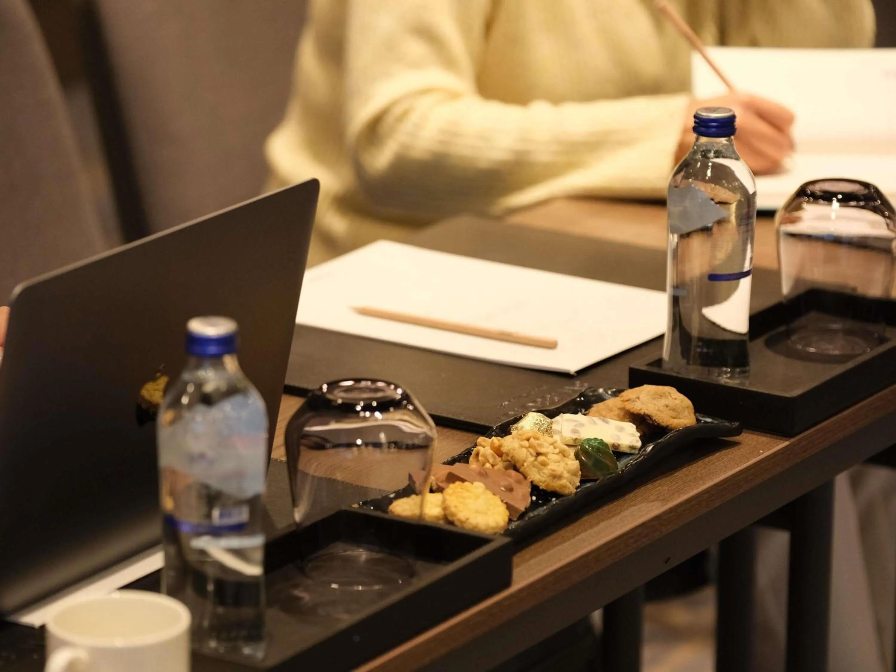 Meeting/conference room in Swissotel Uludag Bursa