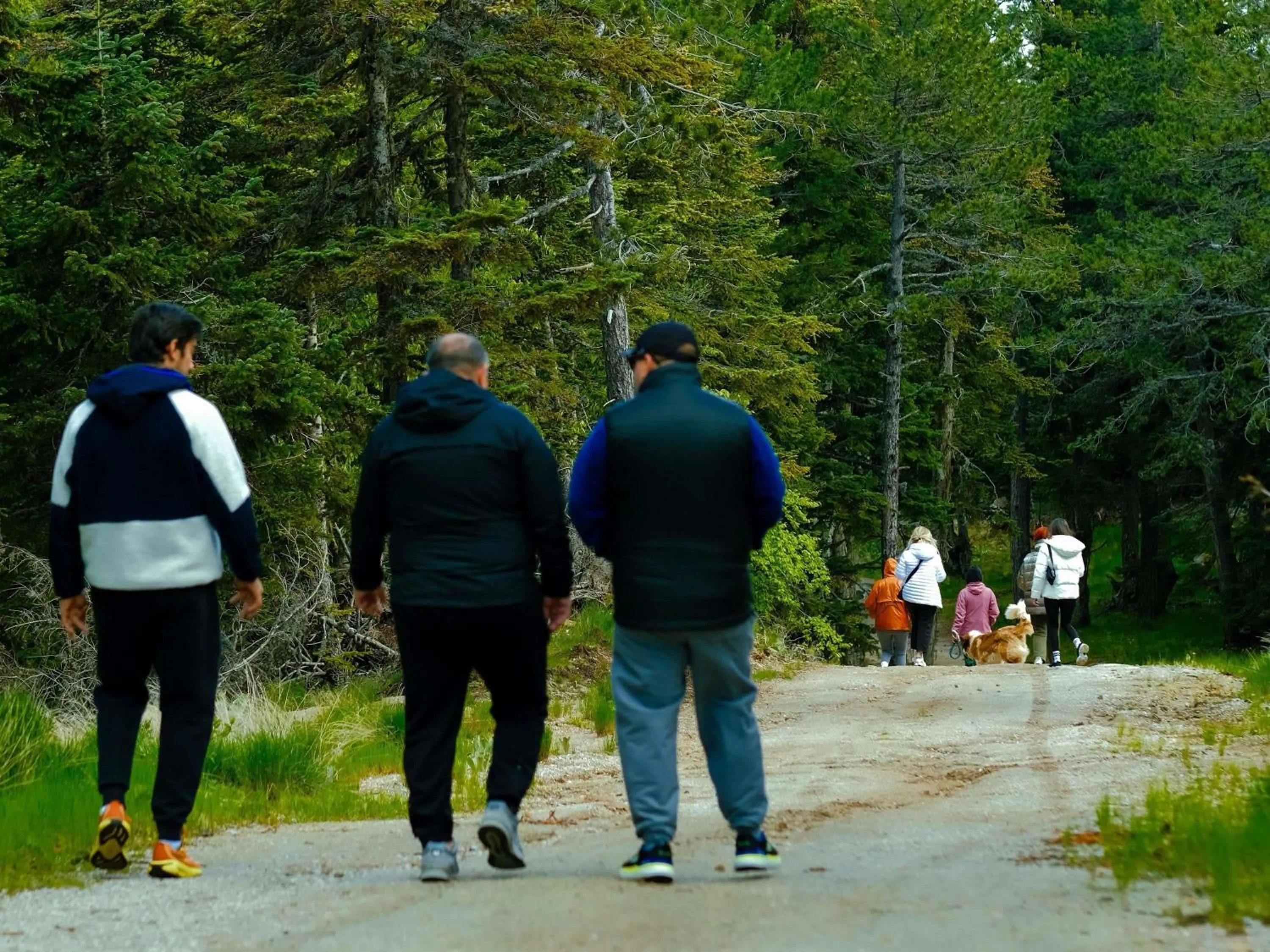 Other in Swissotel Uludag Bursa