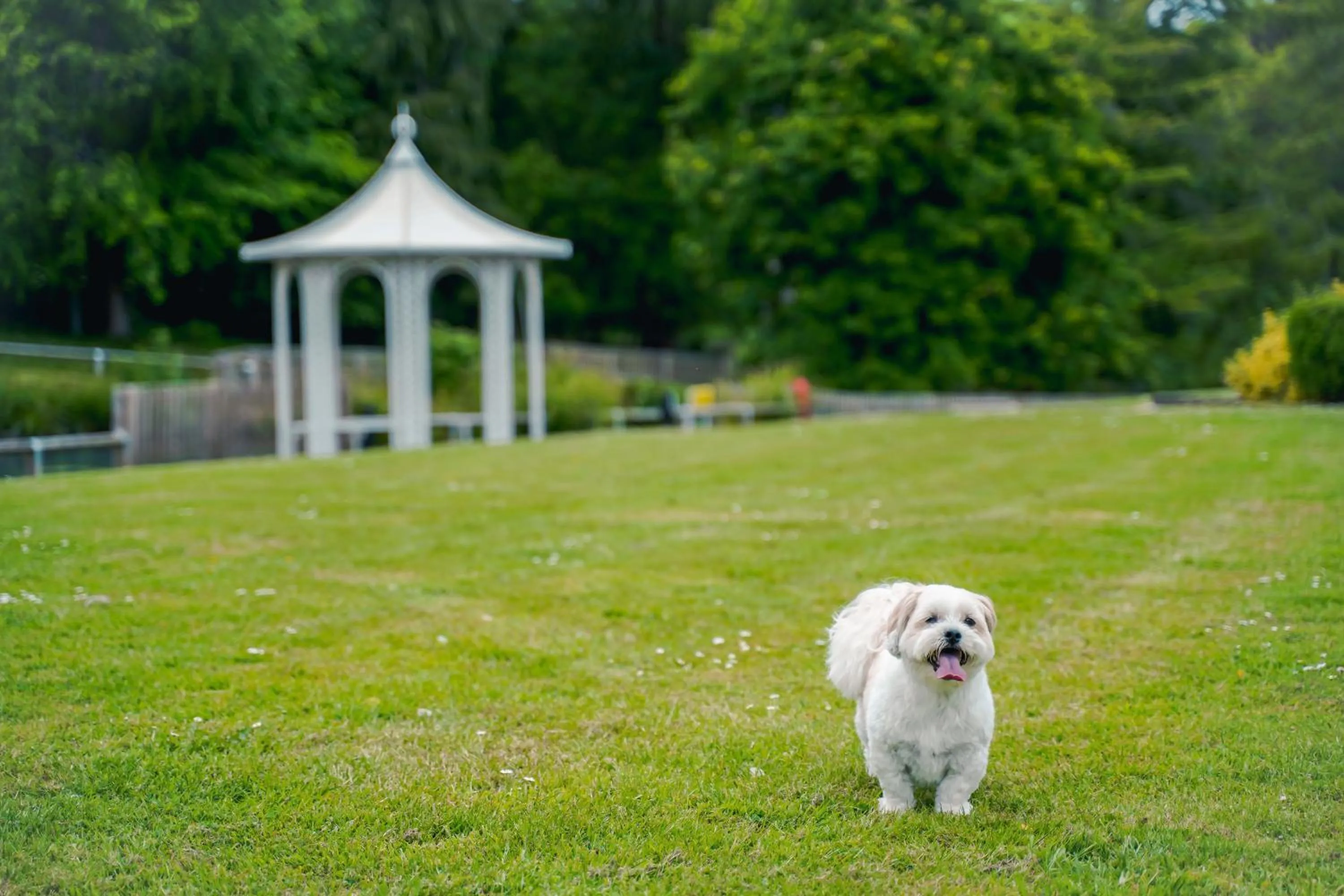 Garden in DoubleTree by Hilton Cheltenham-Cotswolds