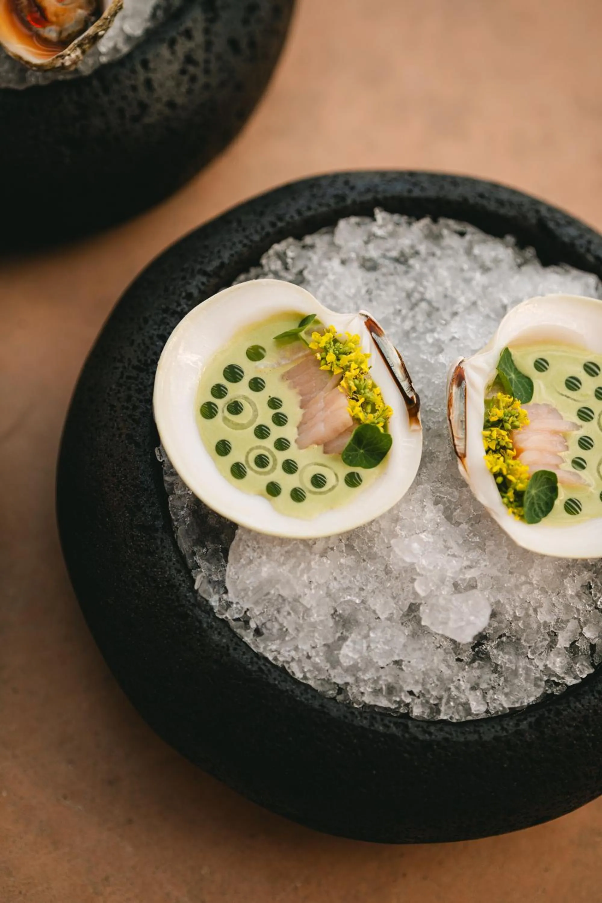 Swimming pool in MIRA Earth Studios