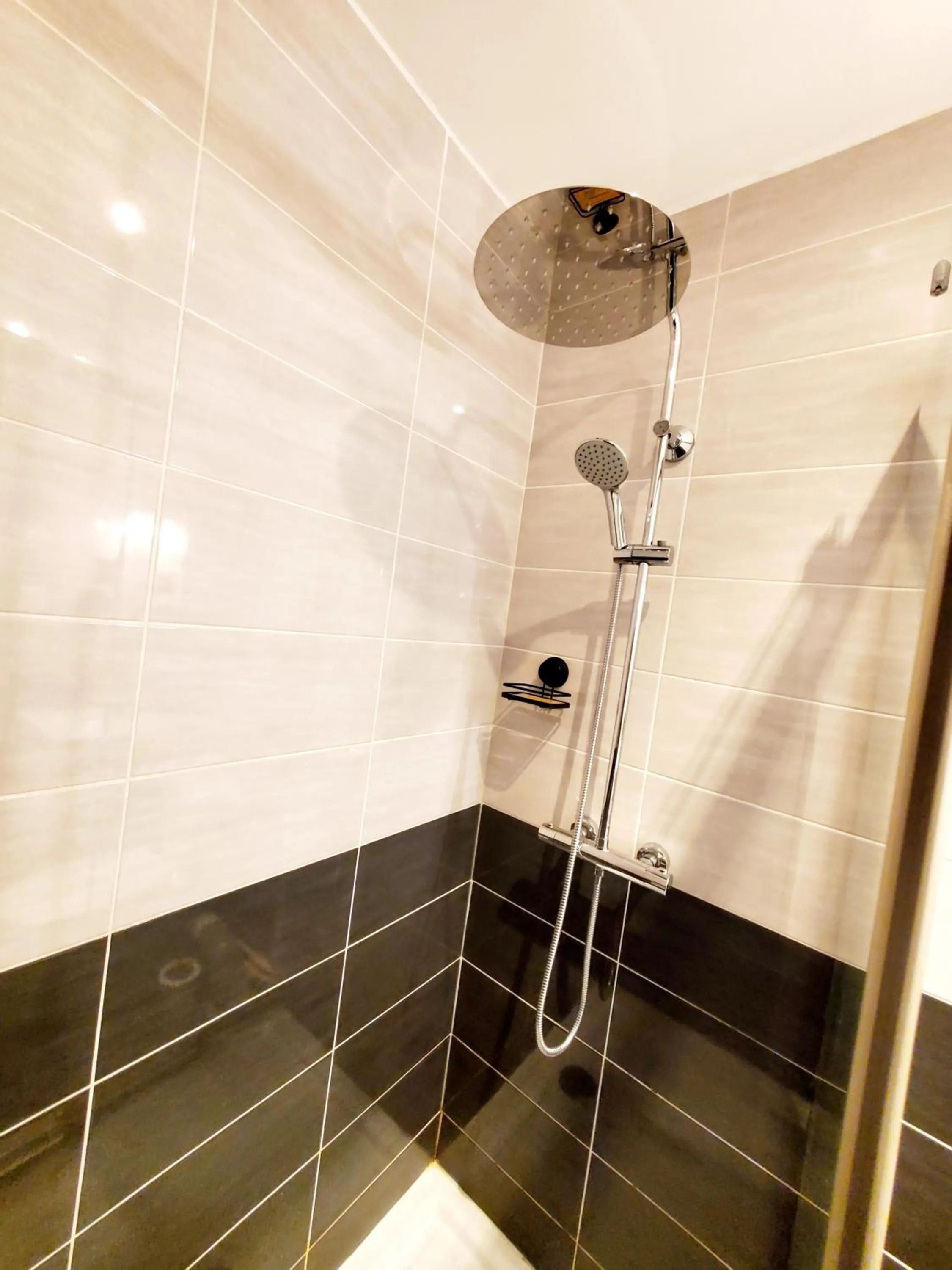 Shower in Logis Hôtel Belle Etoile Vichy