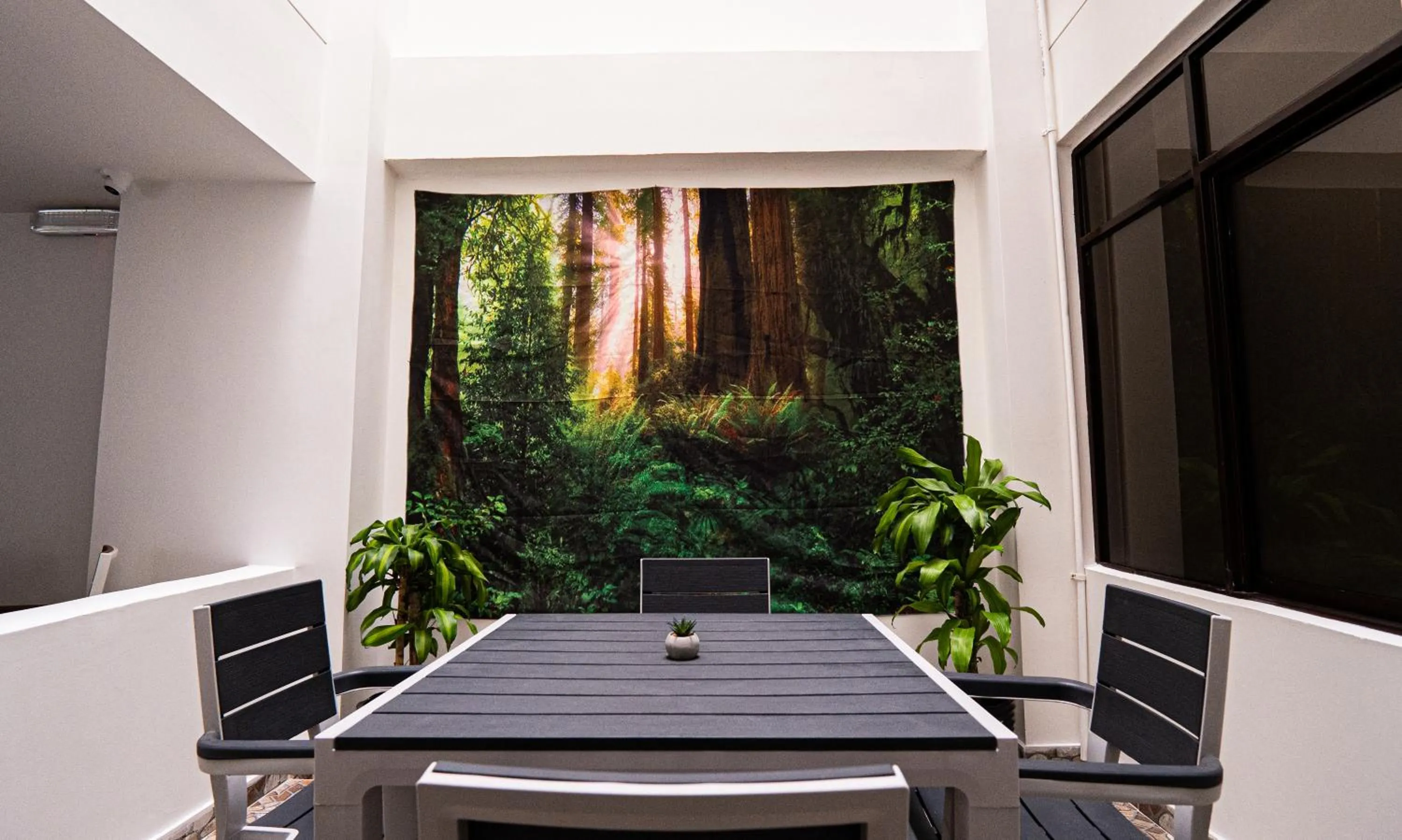 Day in Hotel Arisha Cali