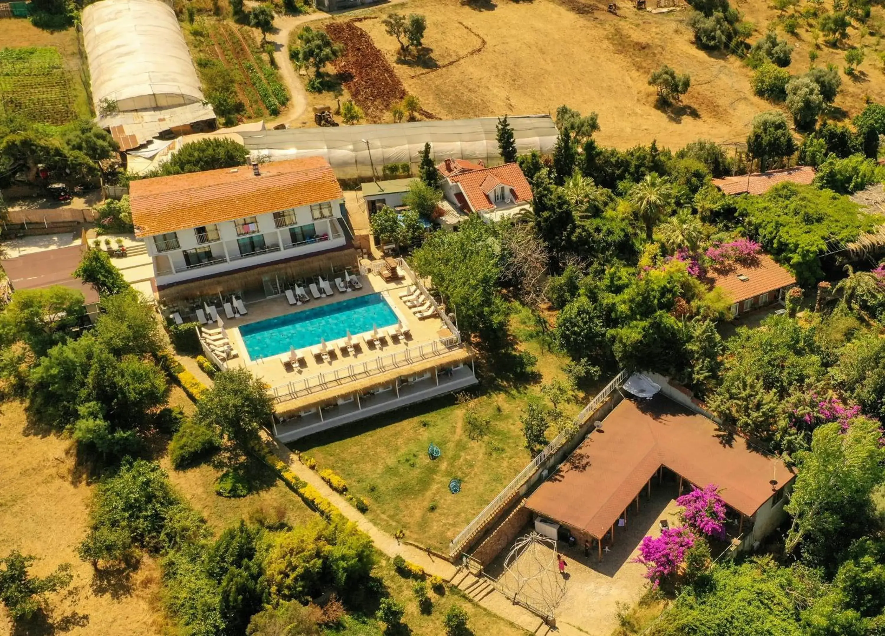 The Roof Ada The Roof Ada