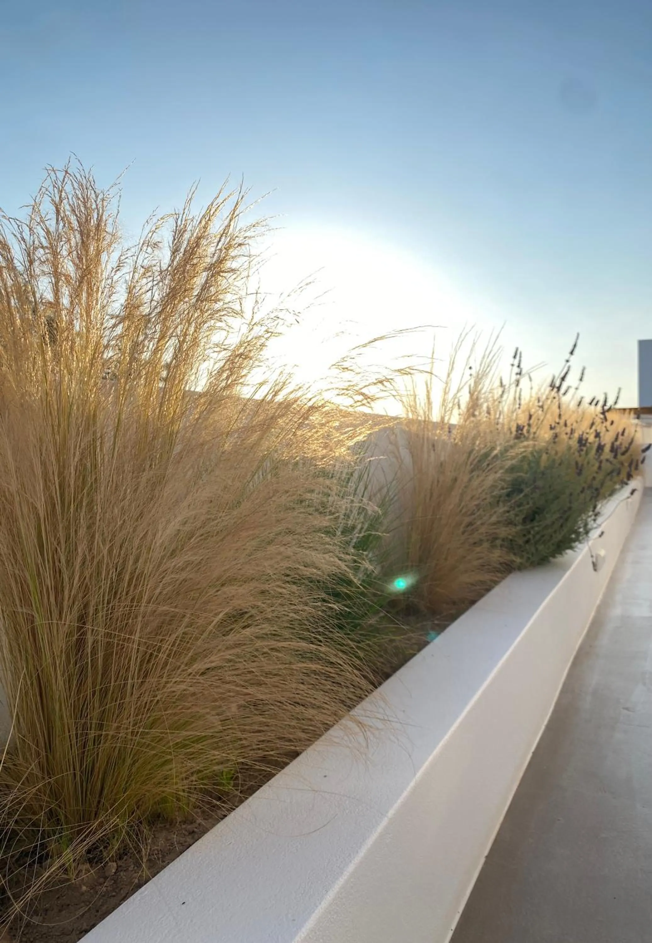 Natural landscape in Nove Milos Luxury by Estia