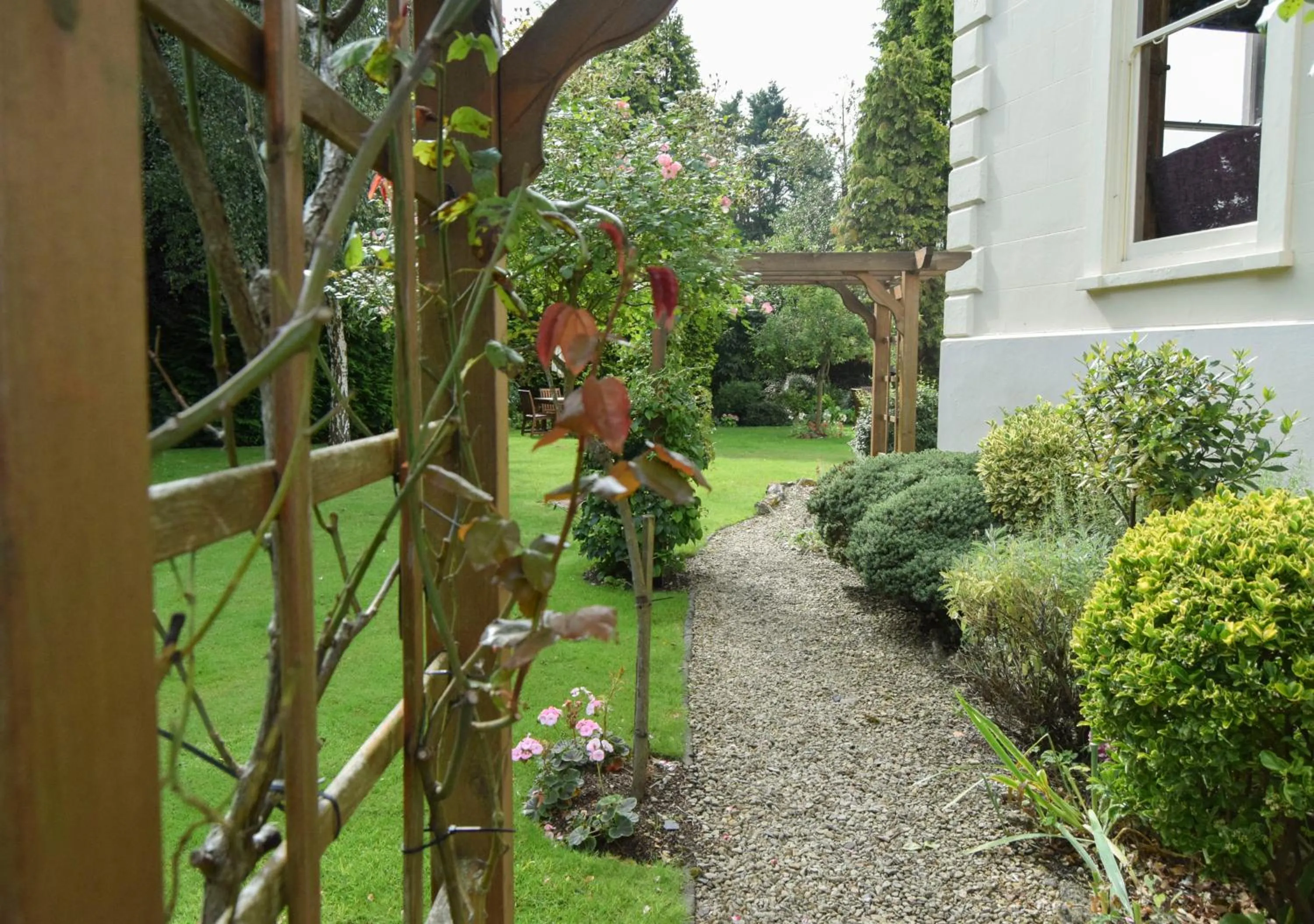 Garden in Beaumont House