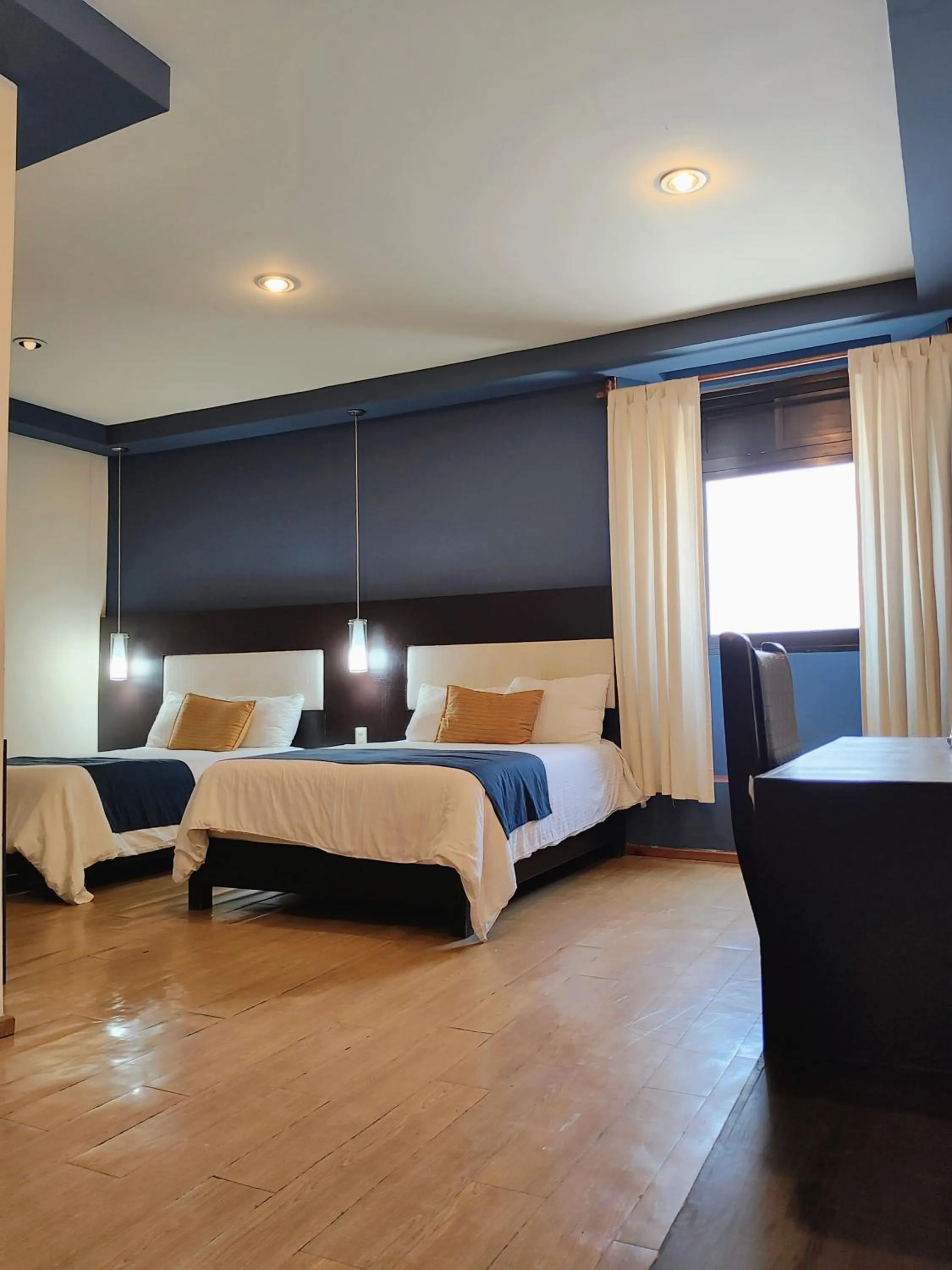 Hotel Jardines Centro