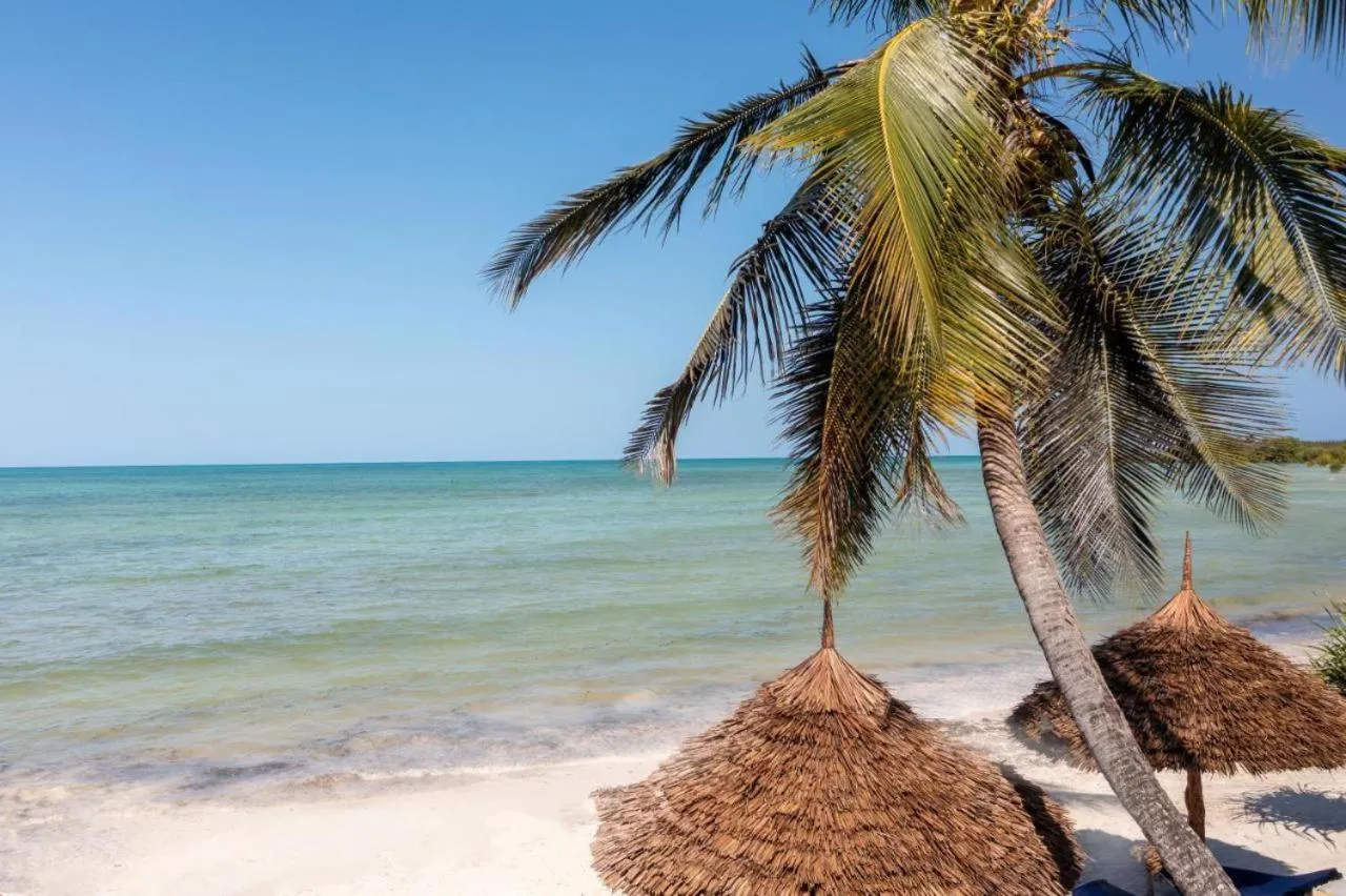 Day in Moayana Liora