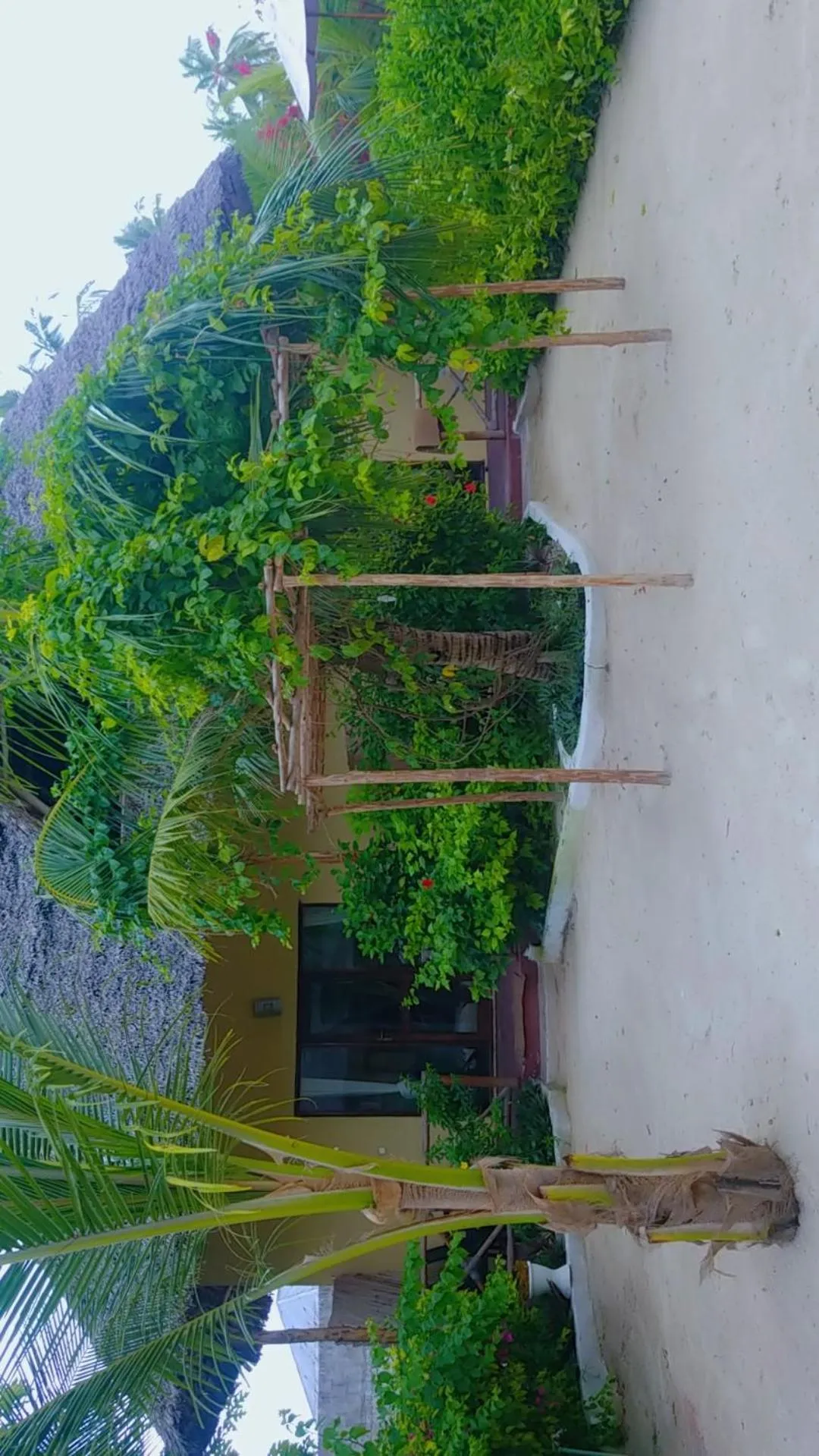 Garden view in Amber Lodge