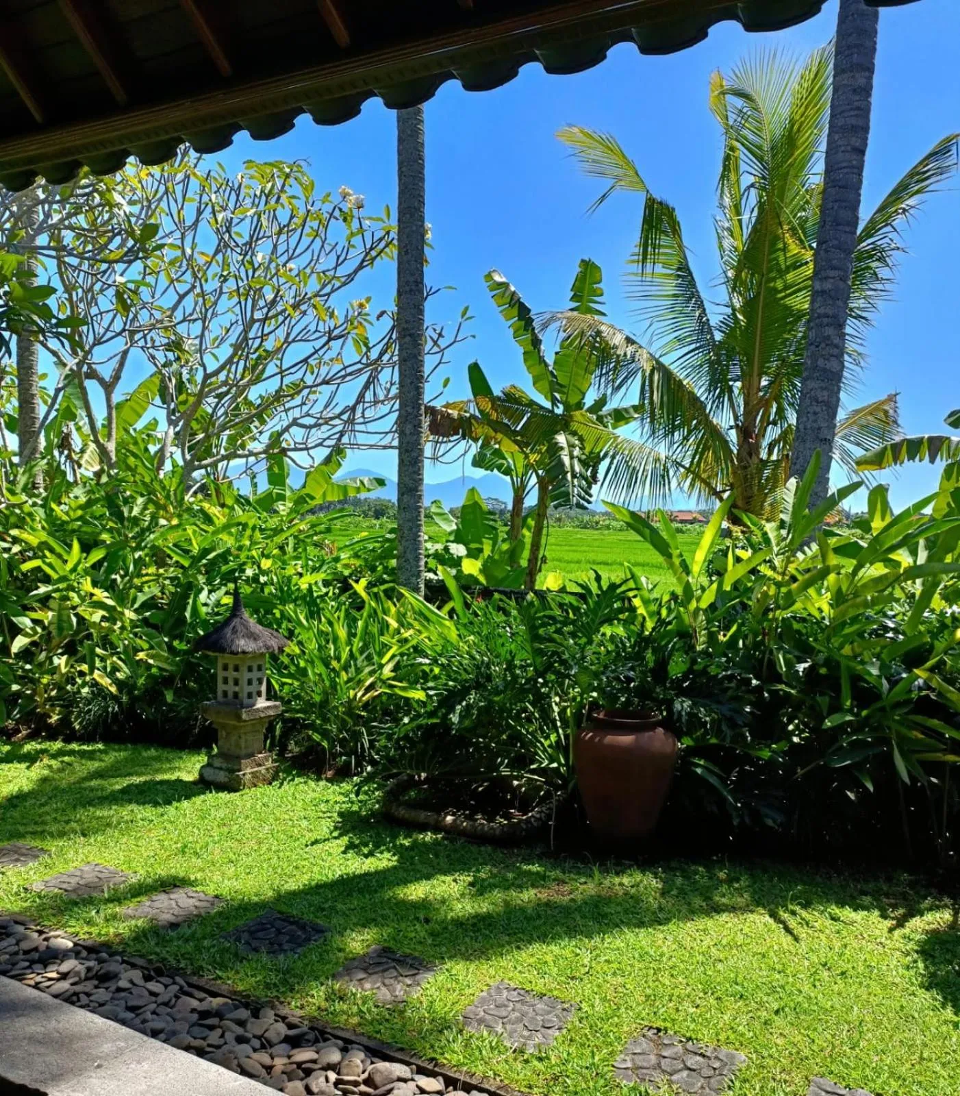 Day in RUNA House Of Design