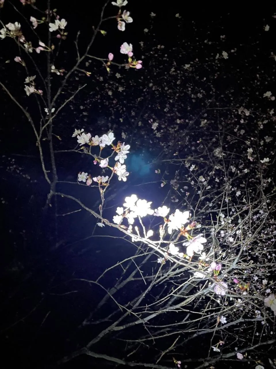 Nearby landmark in KINUGAWA KEISUI