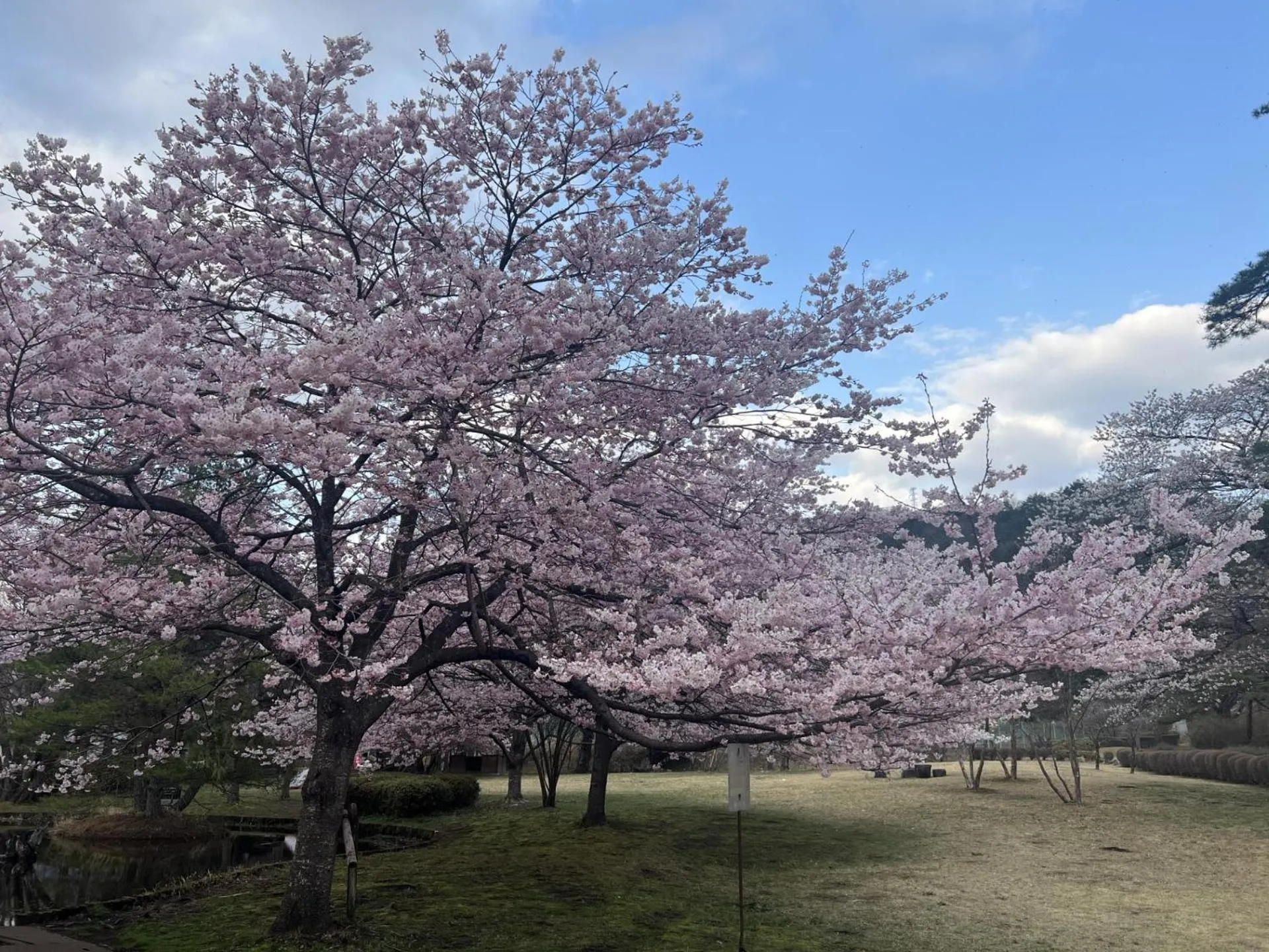 Nearby landmark in KINUGAWA KEISUI
