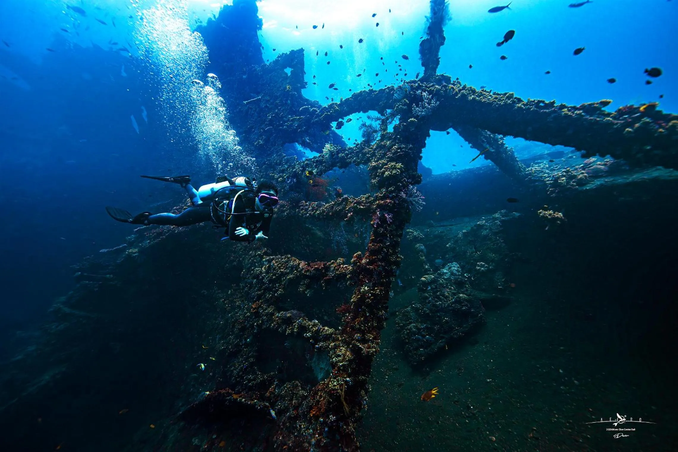 Dive & Dwell Tulamben