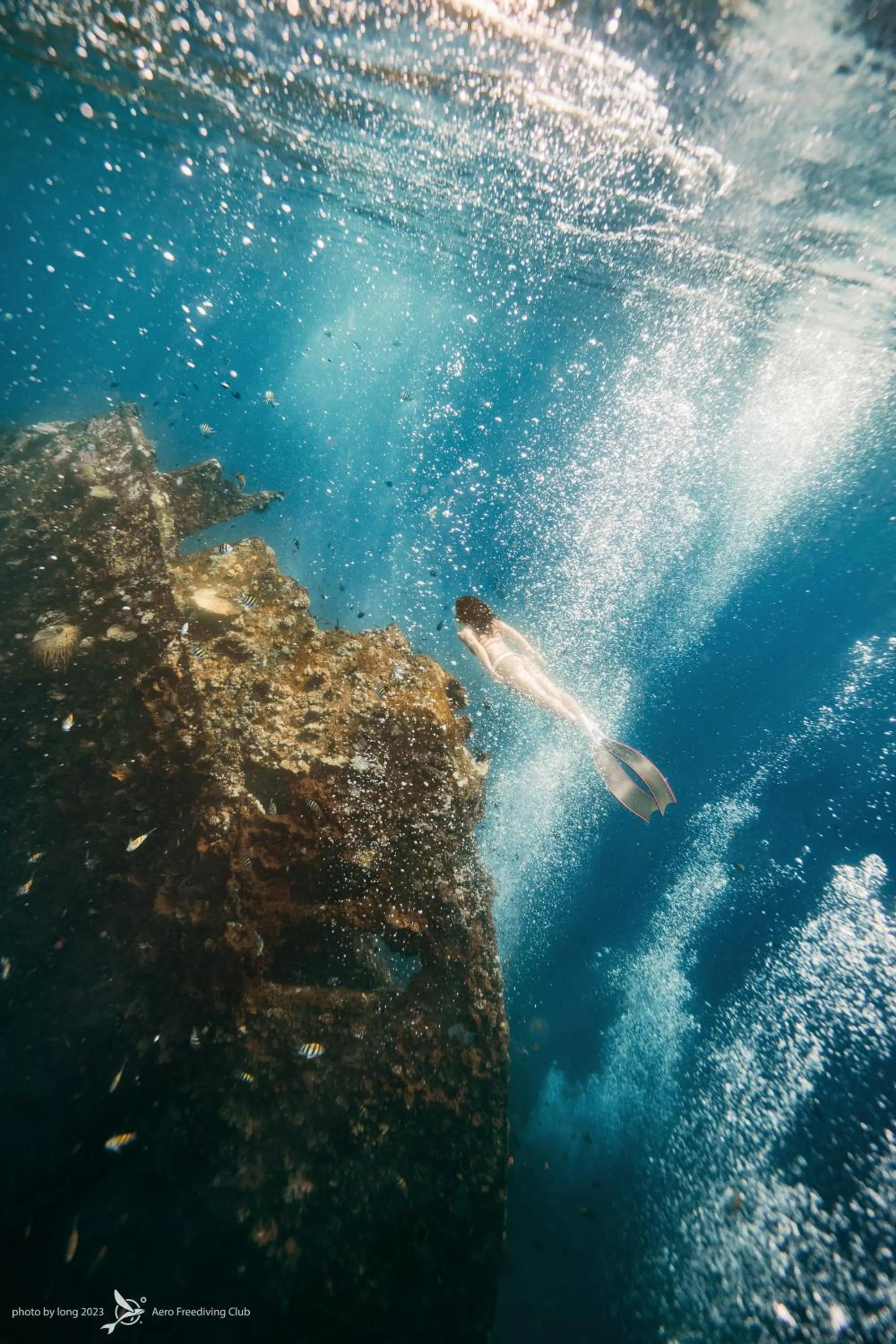 Dive & Dwell Tulamben