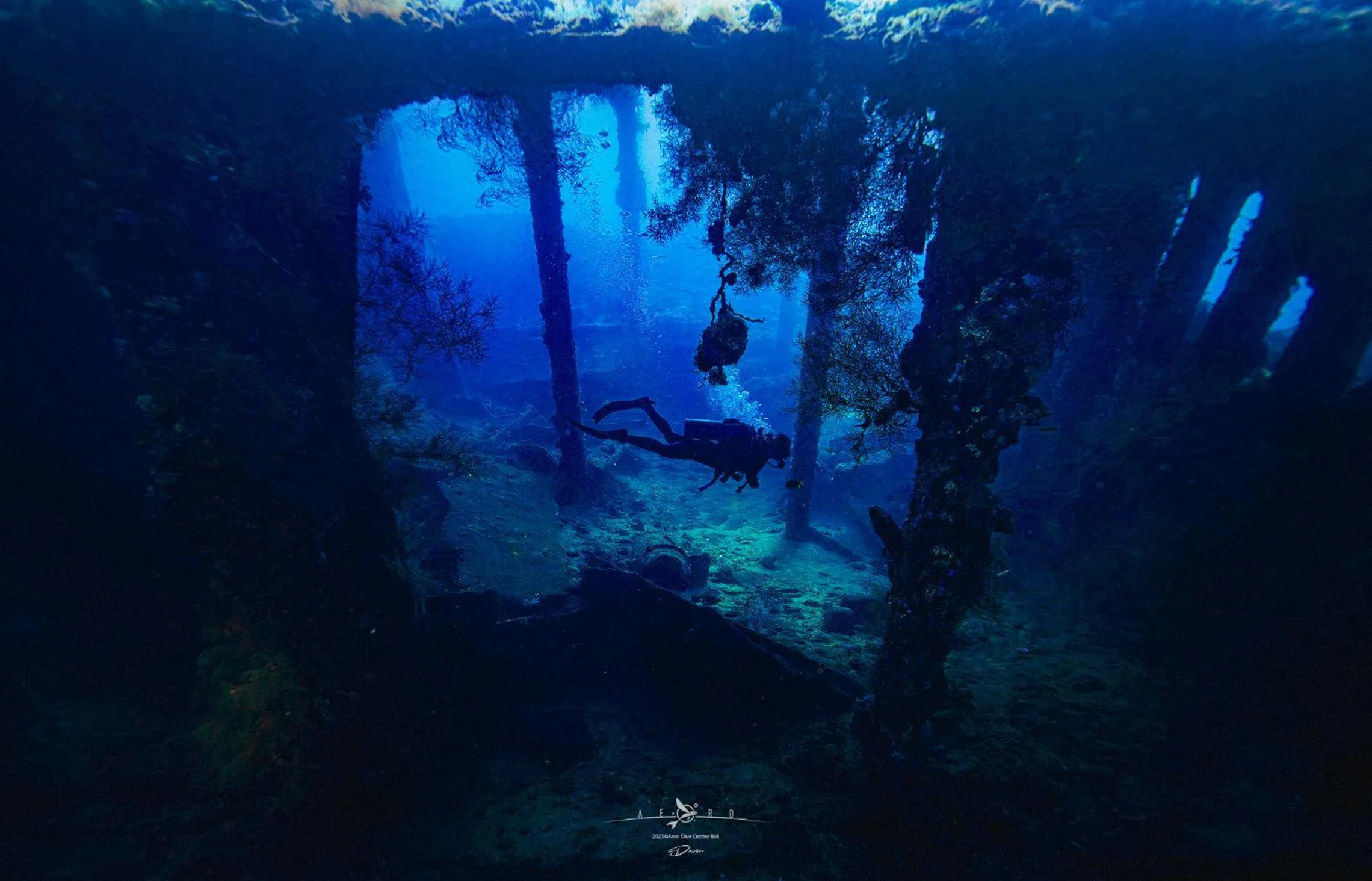 Dive & Dwell Tulamben