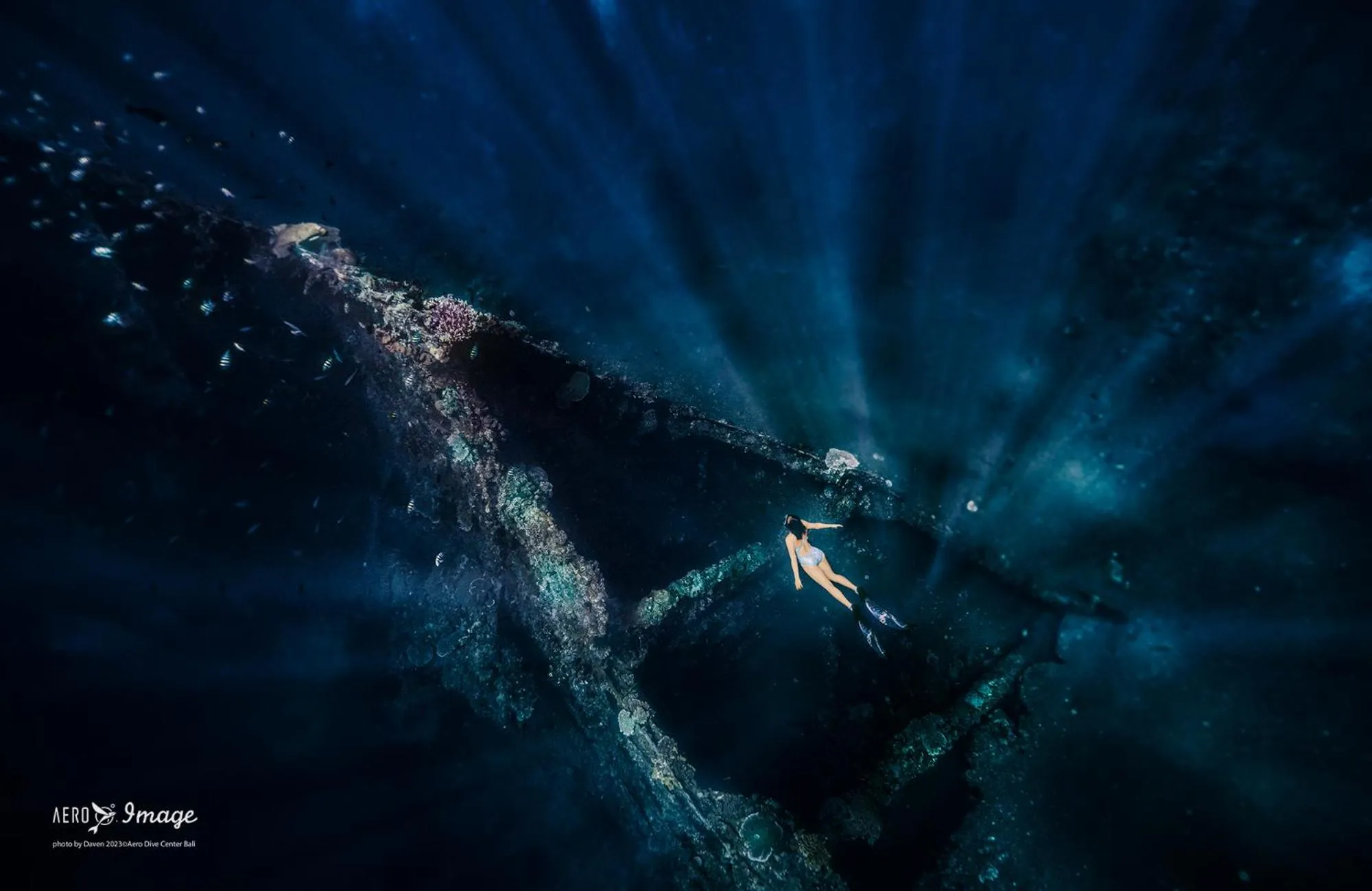 Dive & Dwell Tulamben