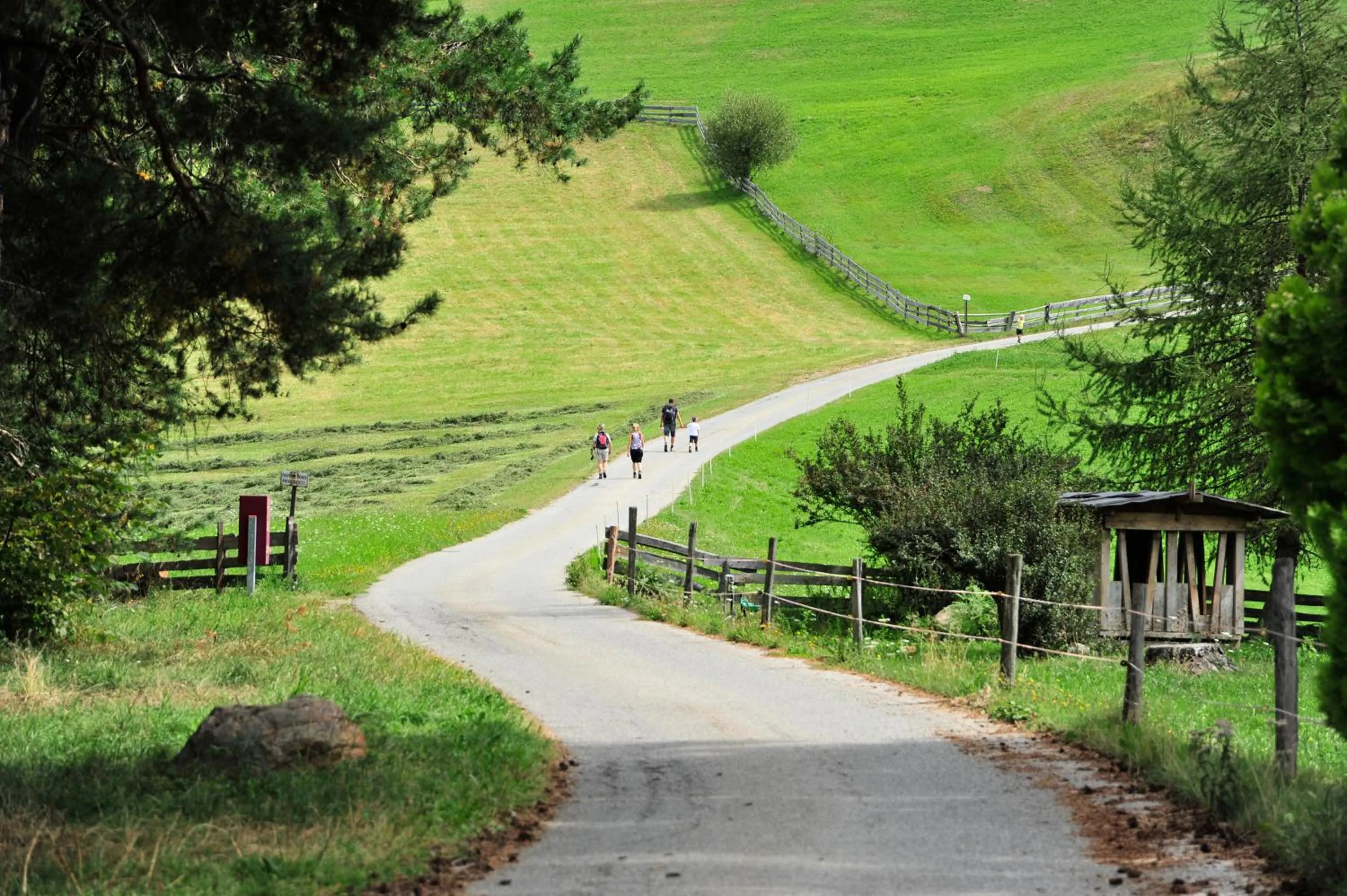 Day in Hotel Landgasthof Lärchenwald