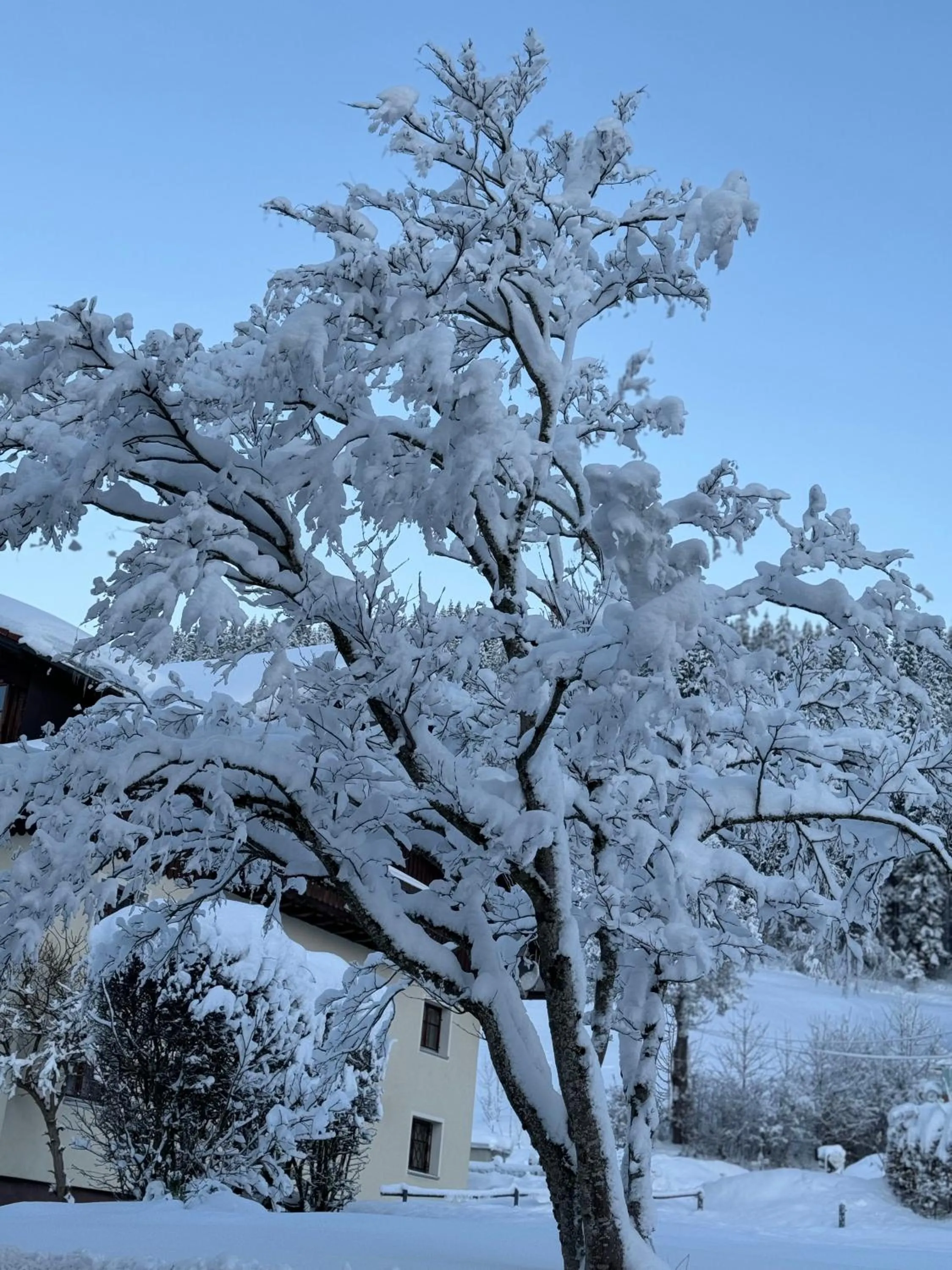 Day in Landhotel Alte Post