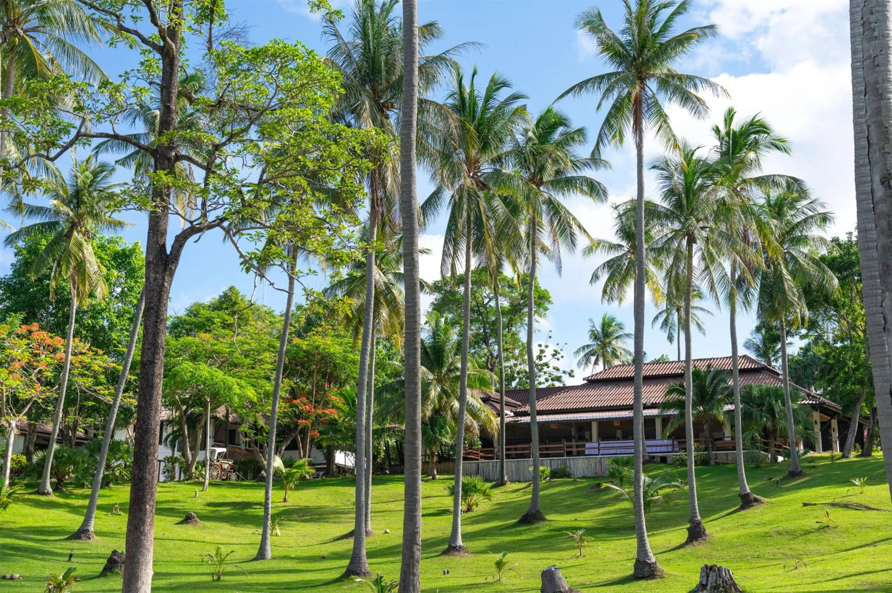 Garden view in Ban Raya Resort and Spa