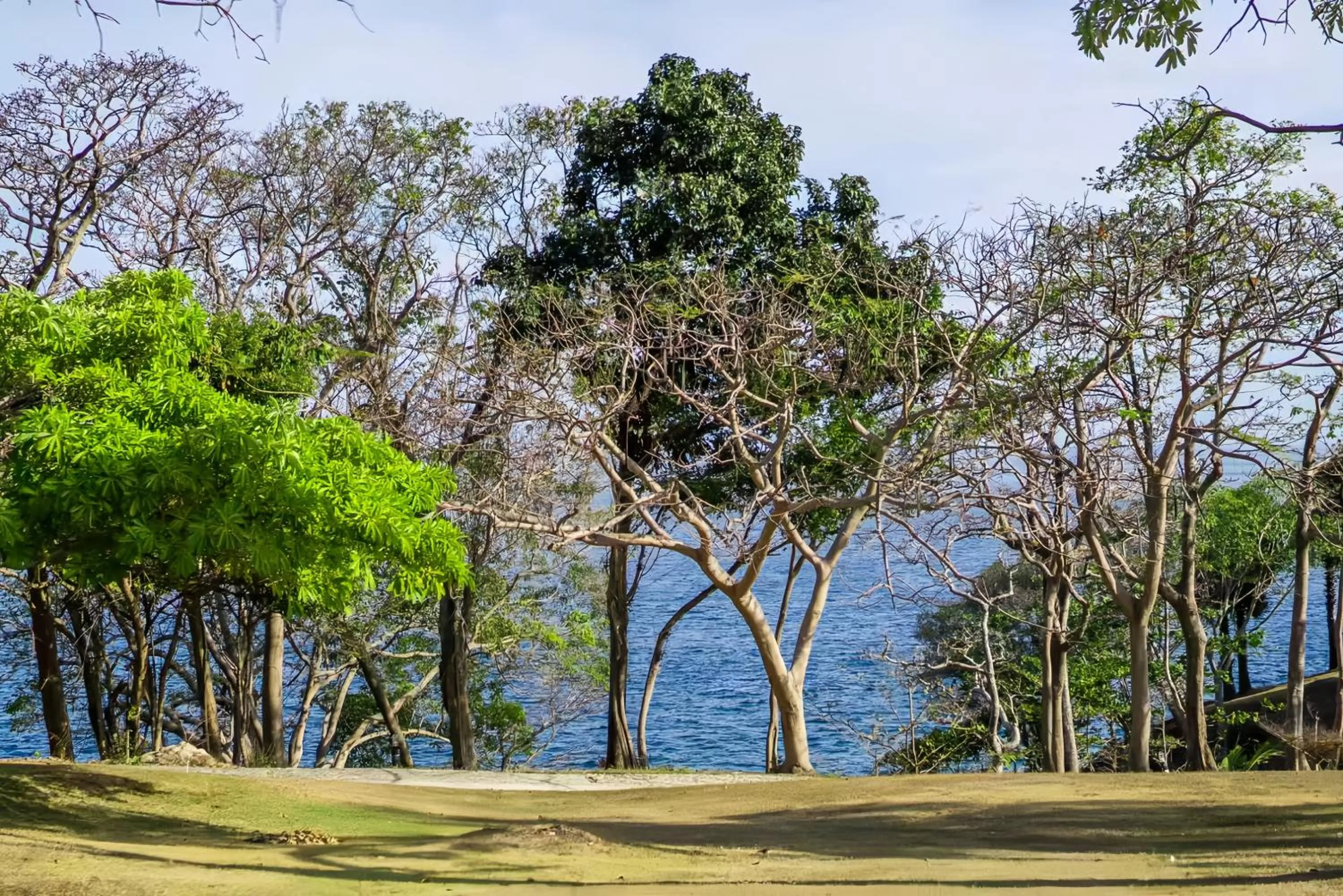 Sea view in Ban Raya Resort and Spa