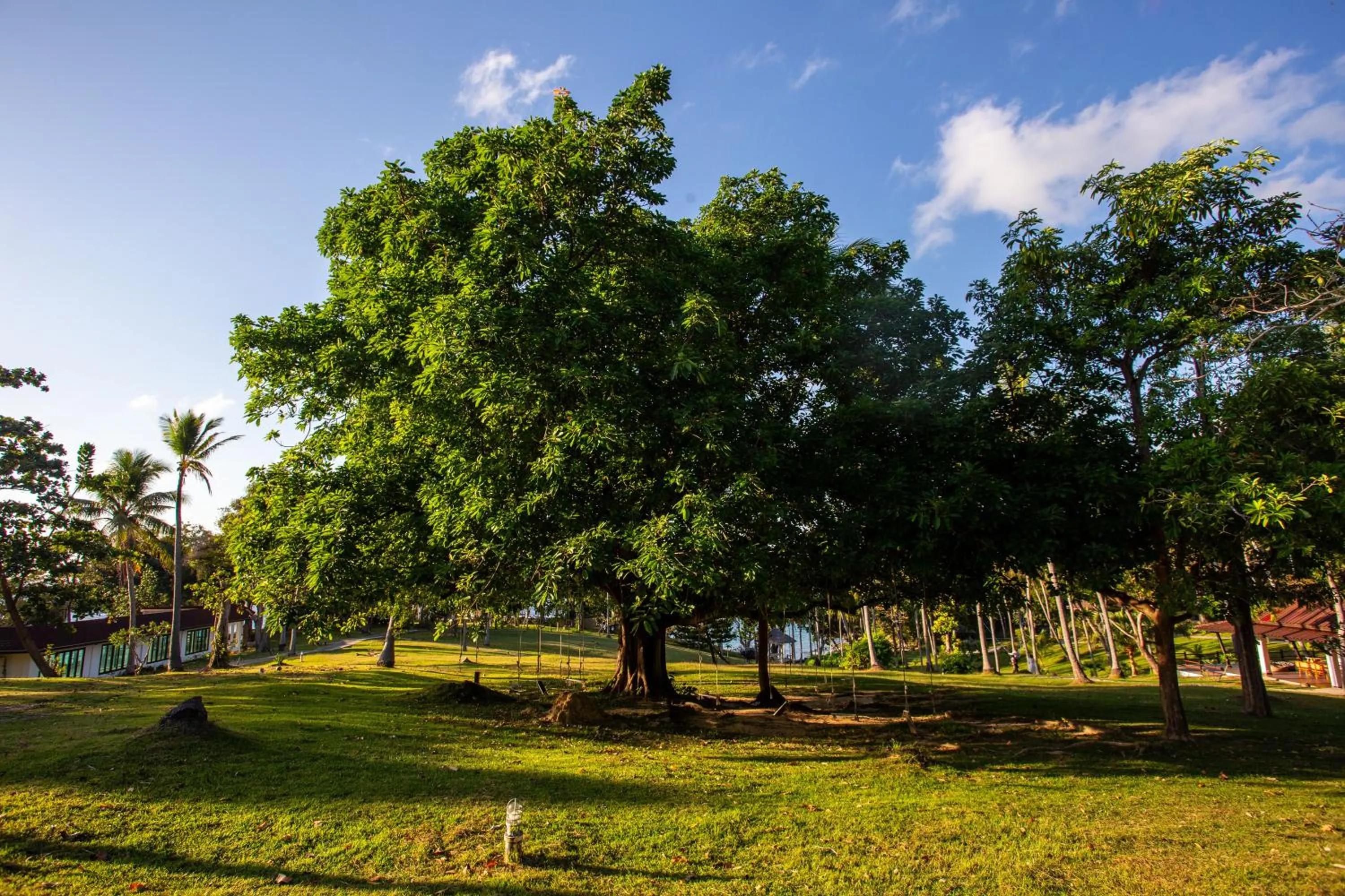 Entertainment in Ban Raya Resort and Spa