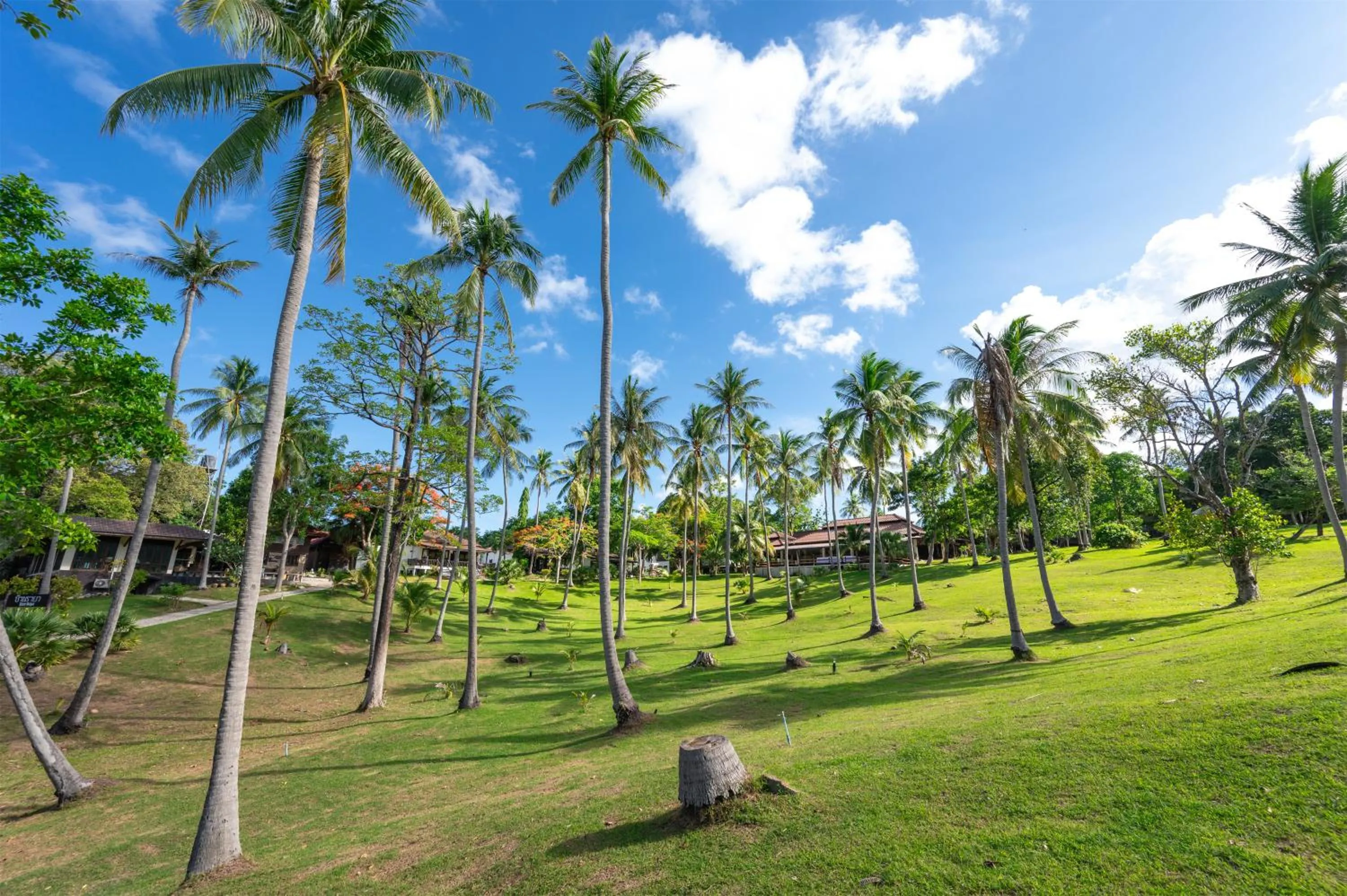 Garden in Ban Raya Resort and Spa