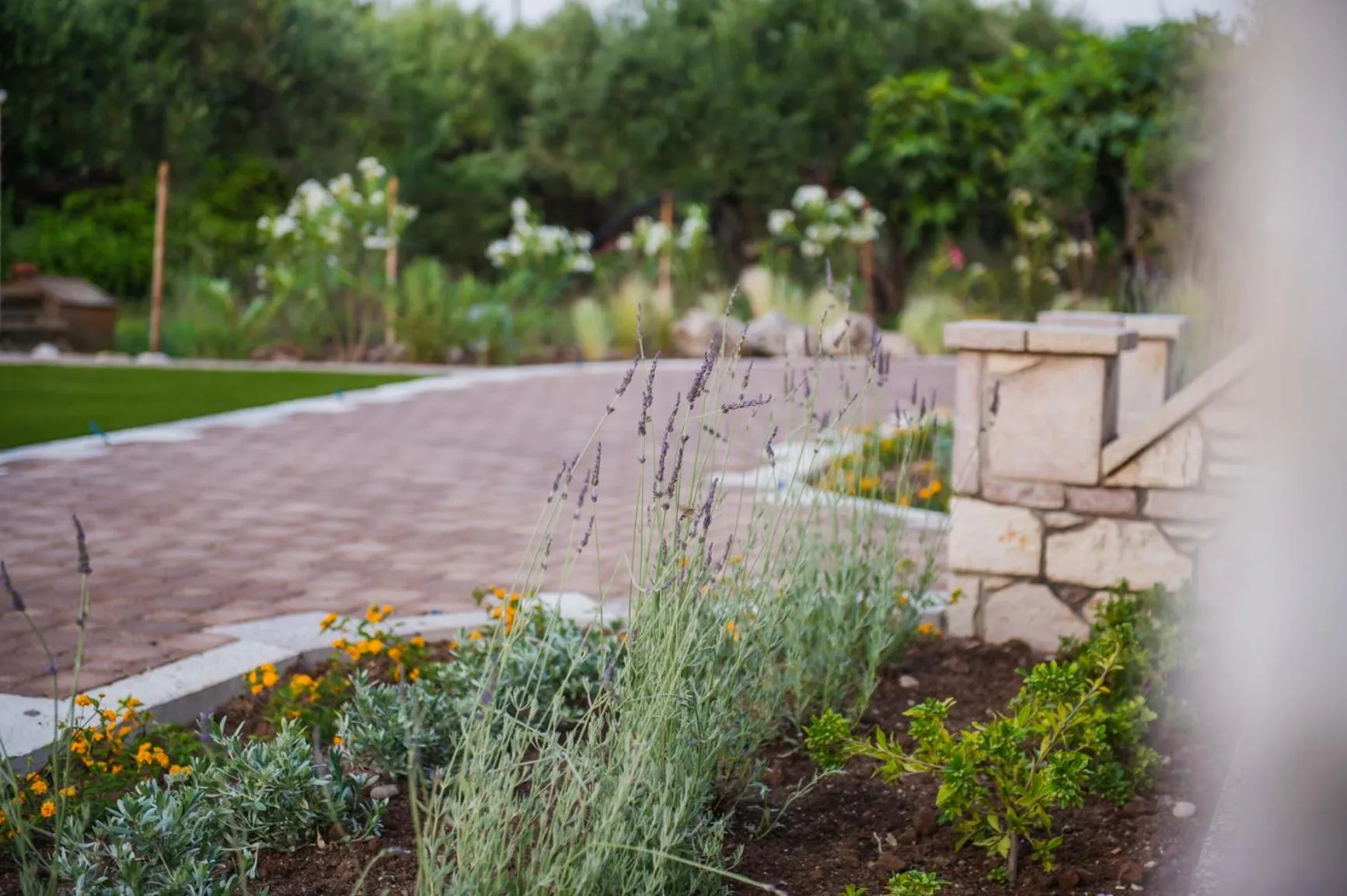 Garden in Terra Hélios Suites & Studios