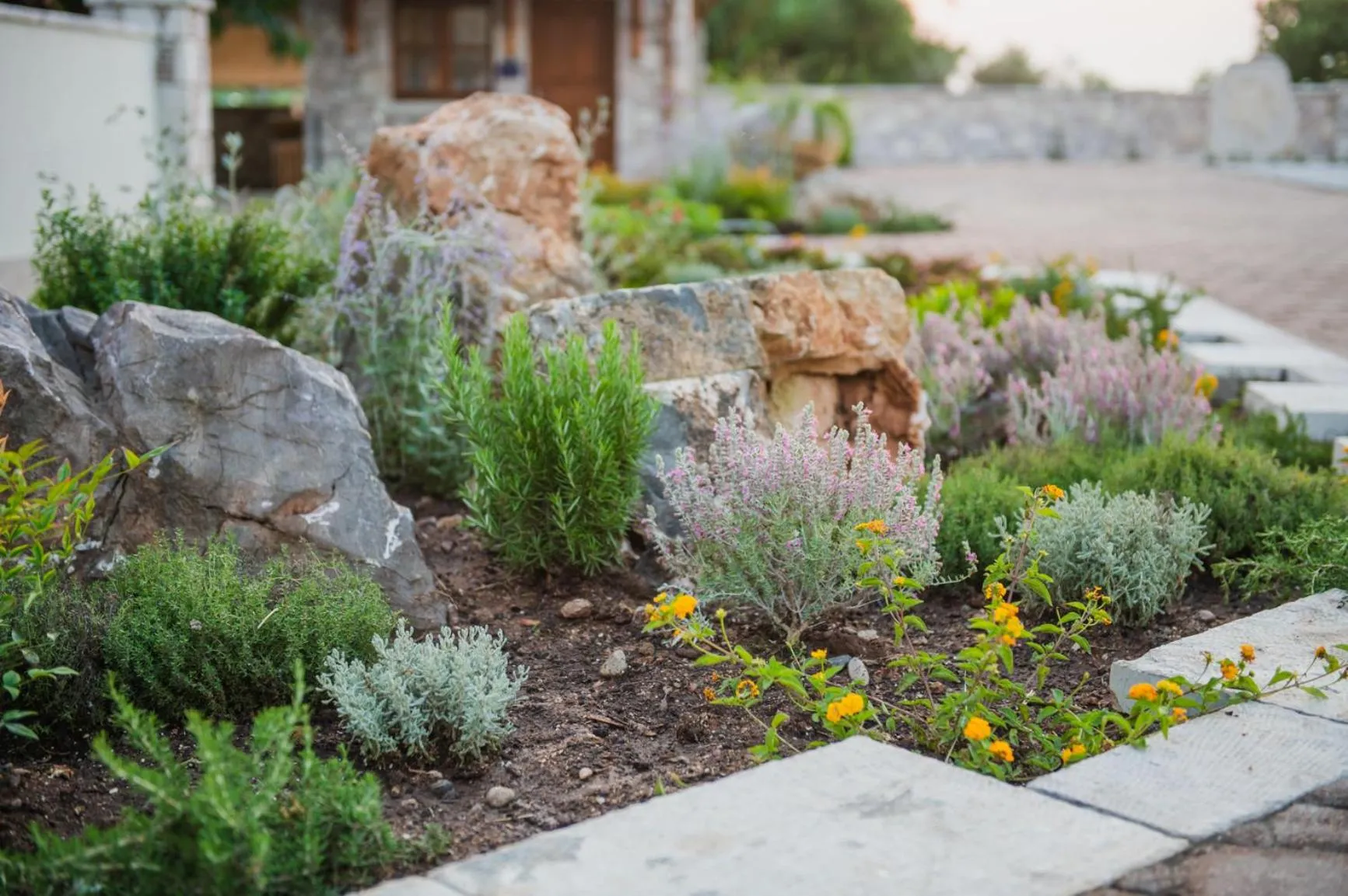 Garden in Terra Hélios Suites & Studios