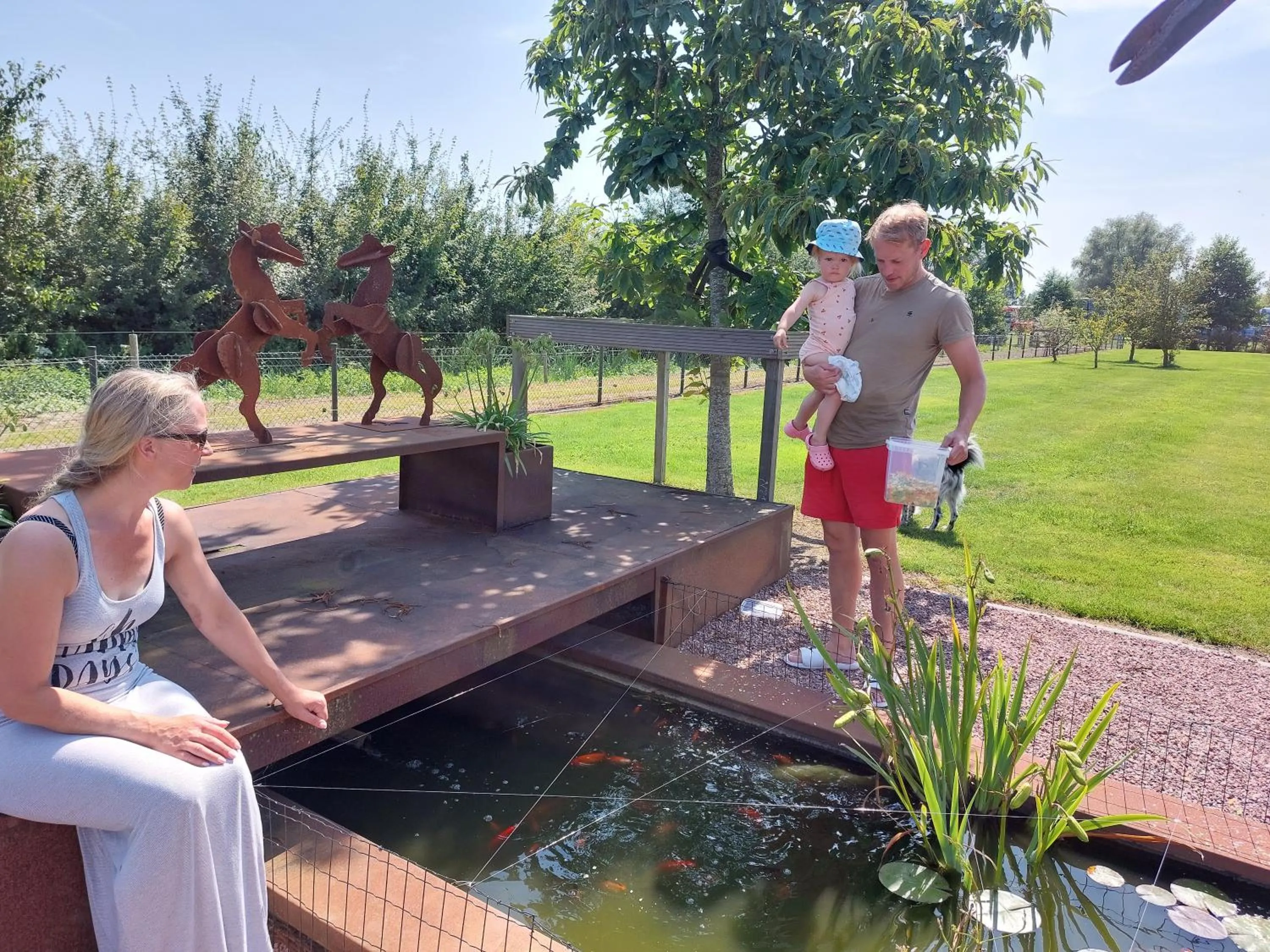 Garden in B&B Finis terrae with wellness