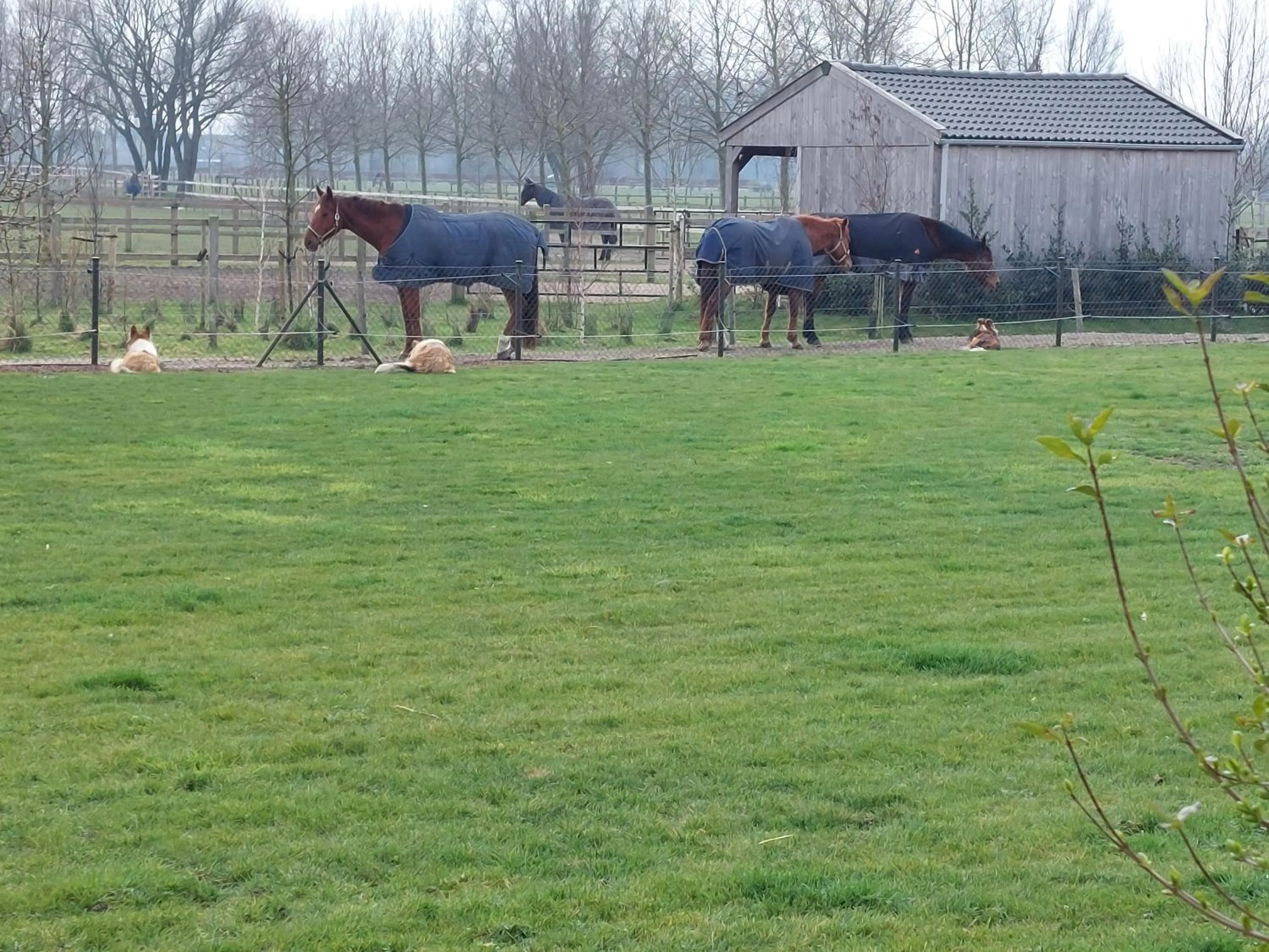 View (from property/room) in B&B Finis terrae with wellness