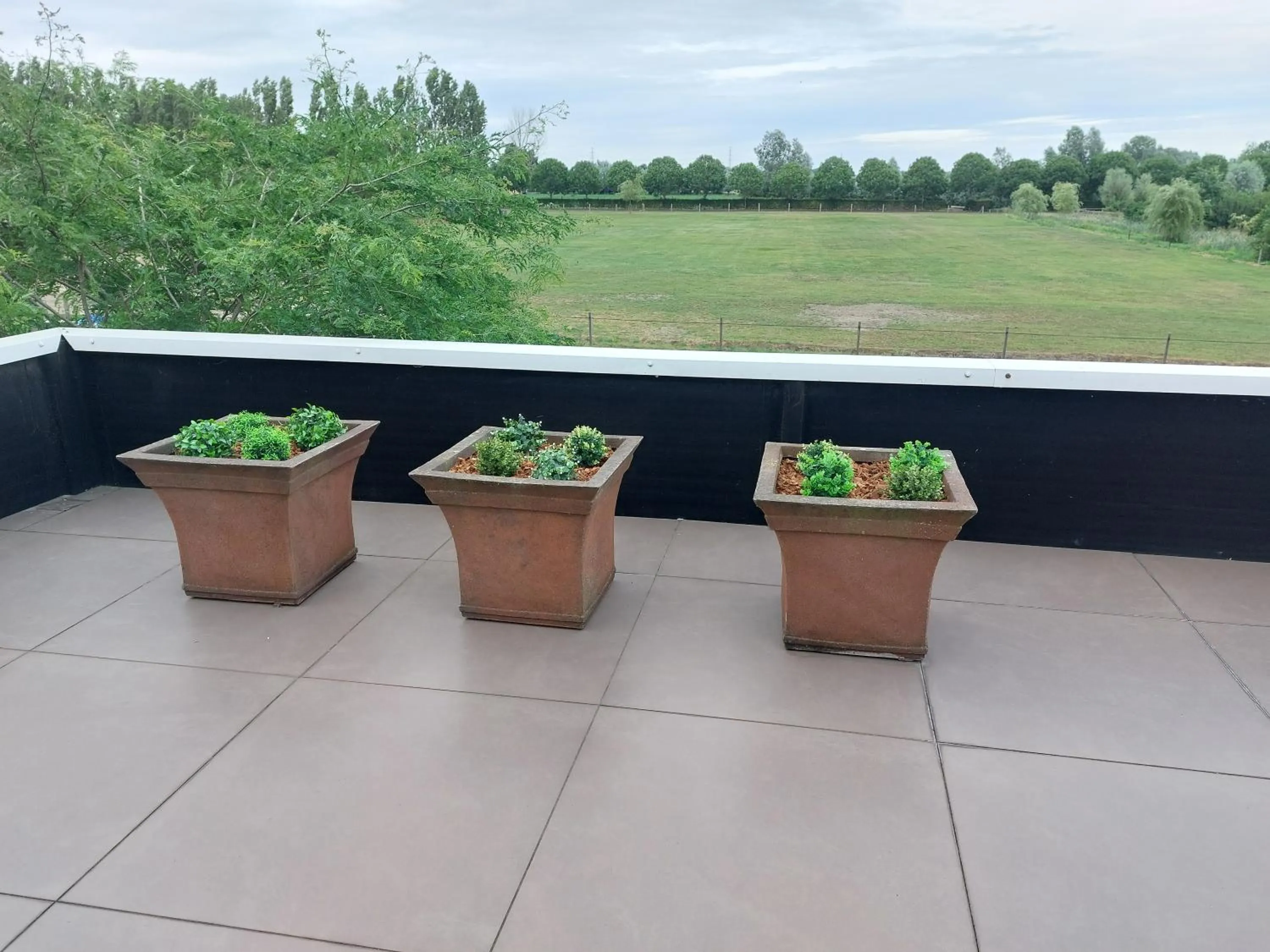 Garden view in B&B Finis terrae with wellness