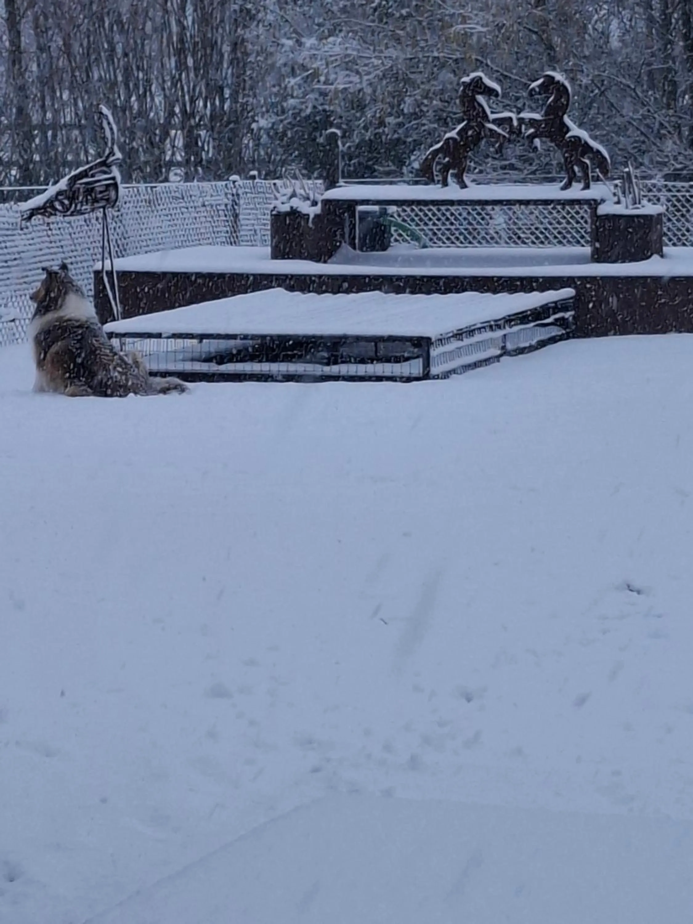 Winter in B&B Finis terrae with wellness