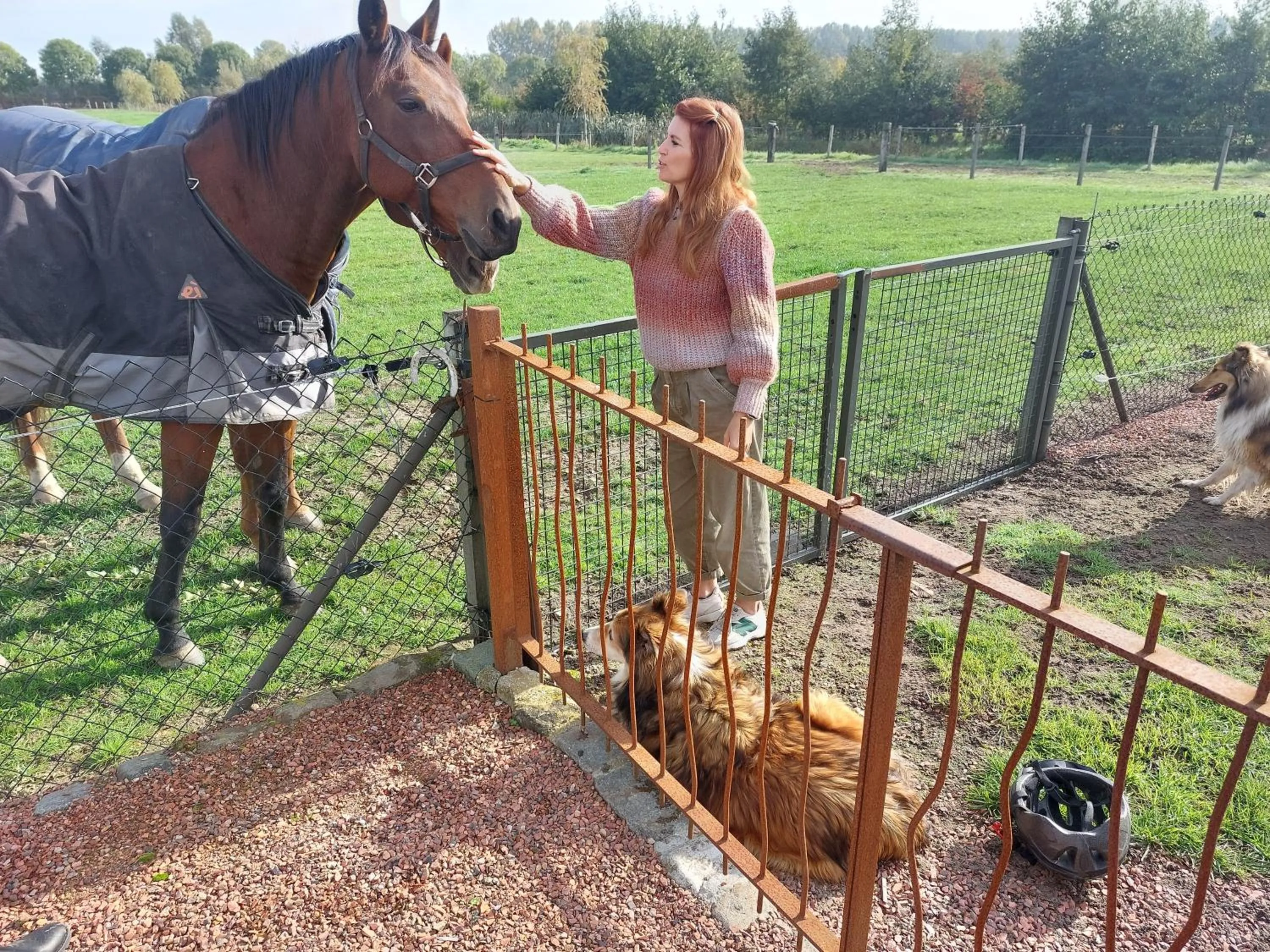 Garden in B&B Finis terrae with wellness