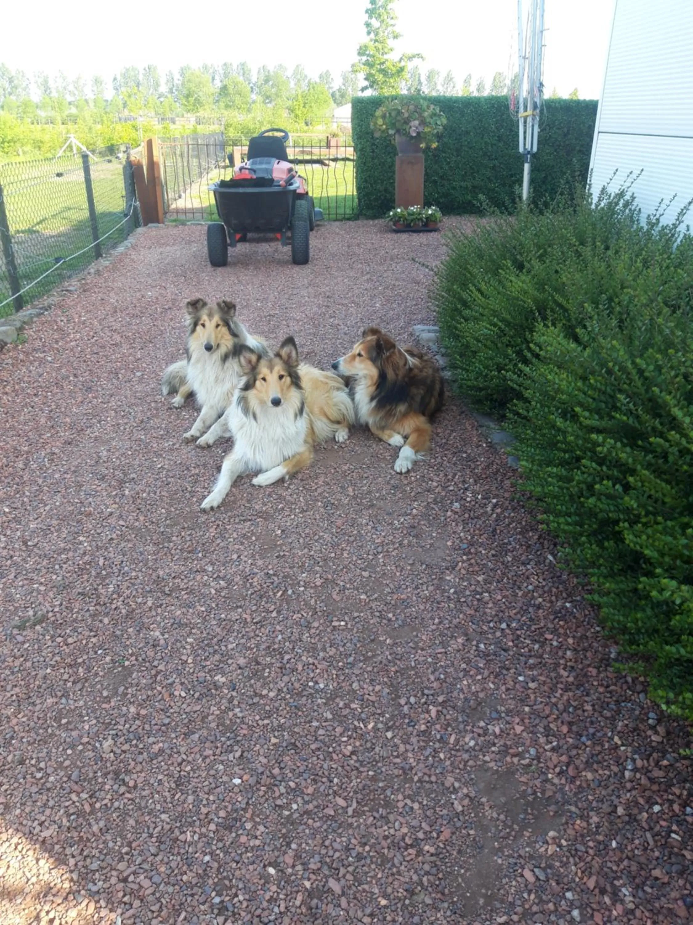 Garden view in B&B Finis terrae with wellness