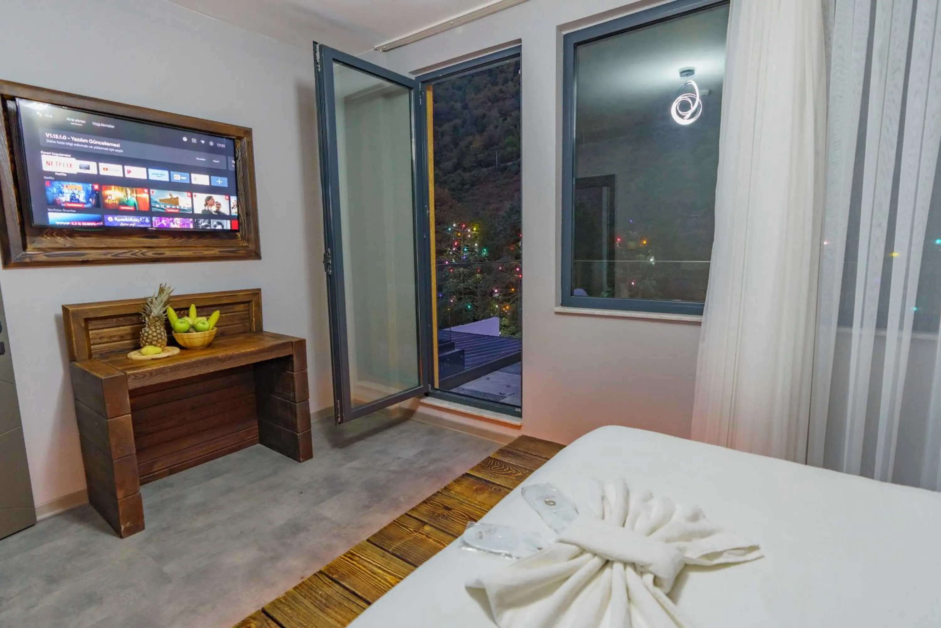 TV and multimedia in Macartaşı Hotel