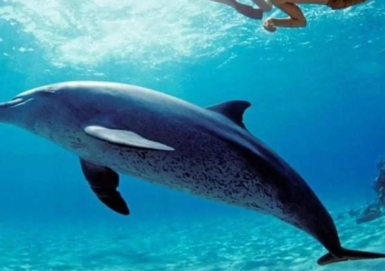 Natural landscape in Al Dora Residence Suites Hurghada