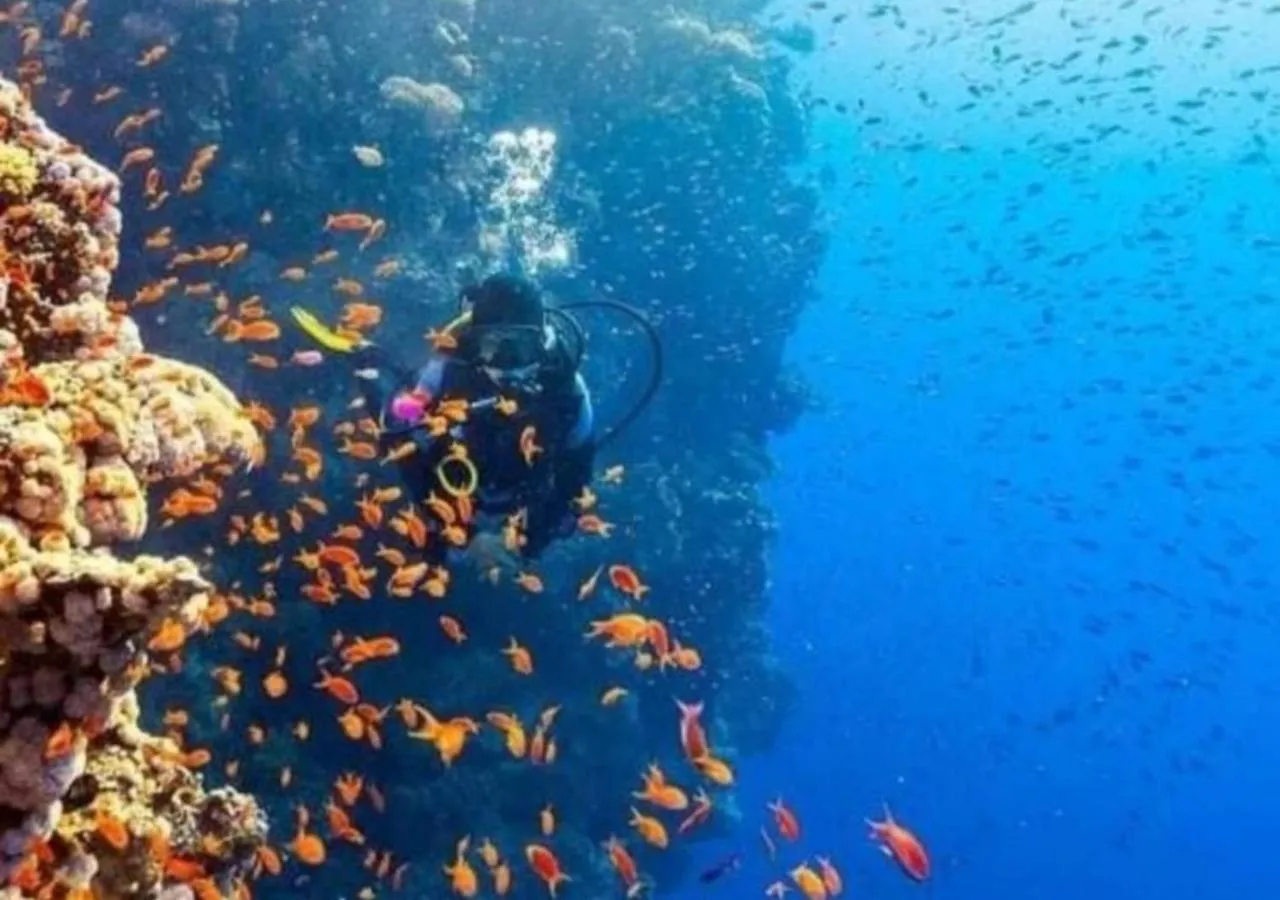 People in Al Dora Residence Suites Hurghada