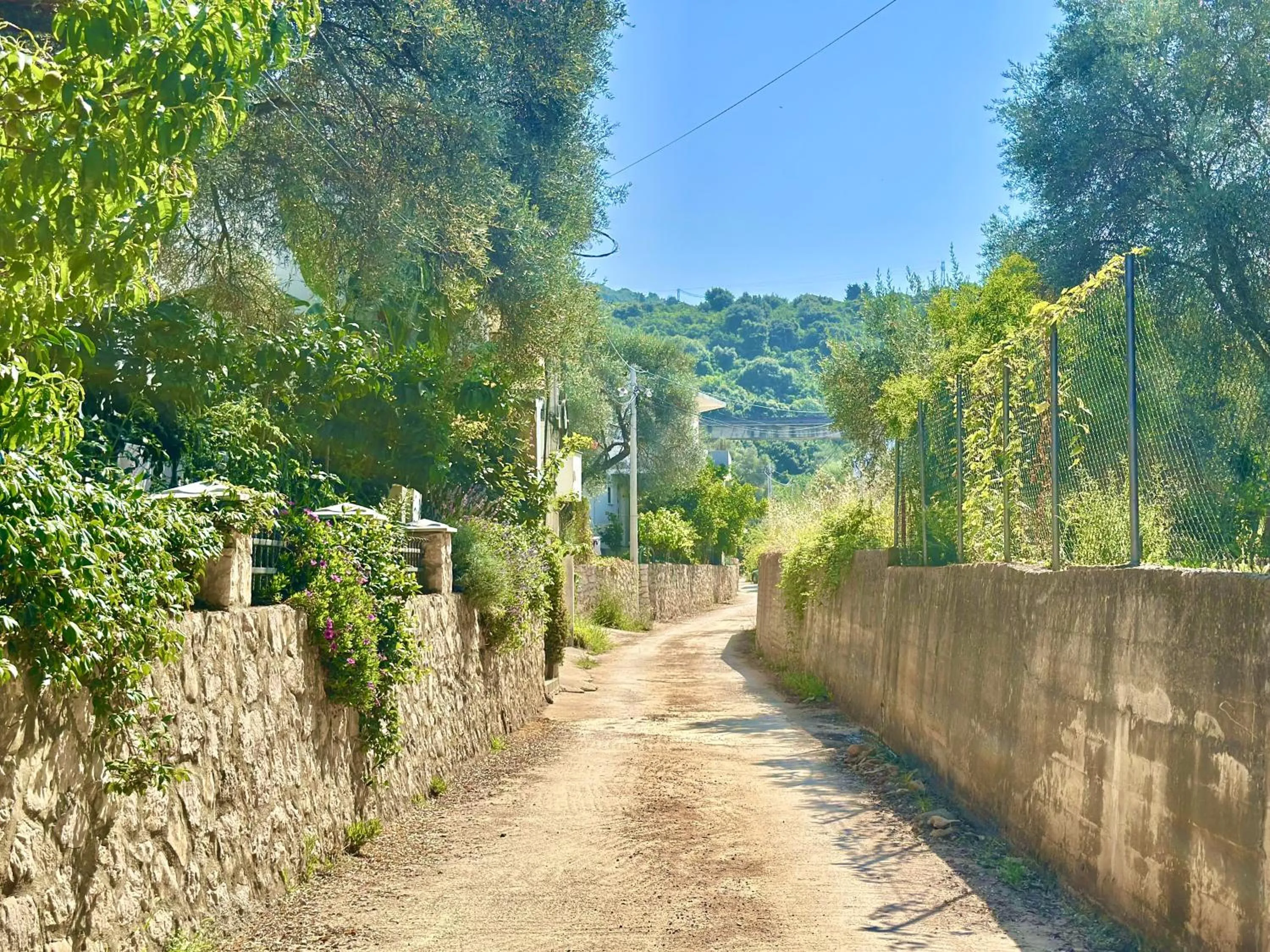 Day in Akhdar Apartments